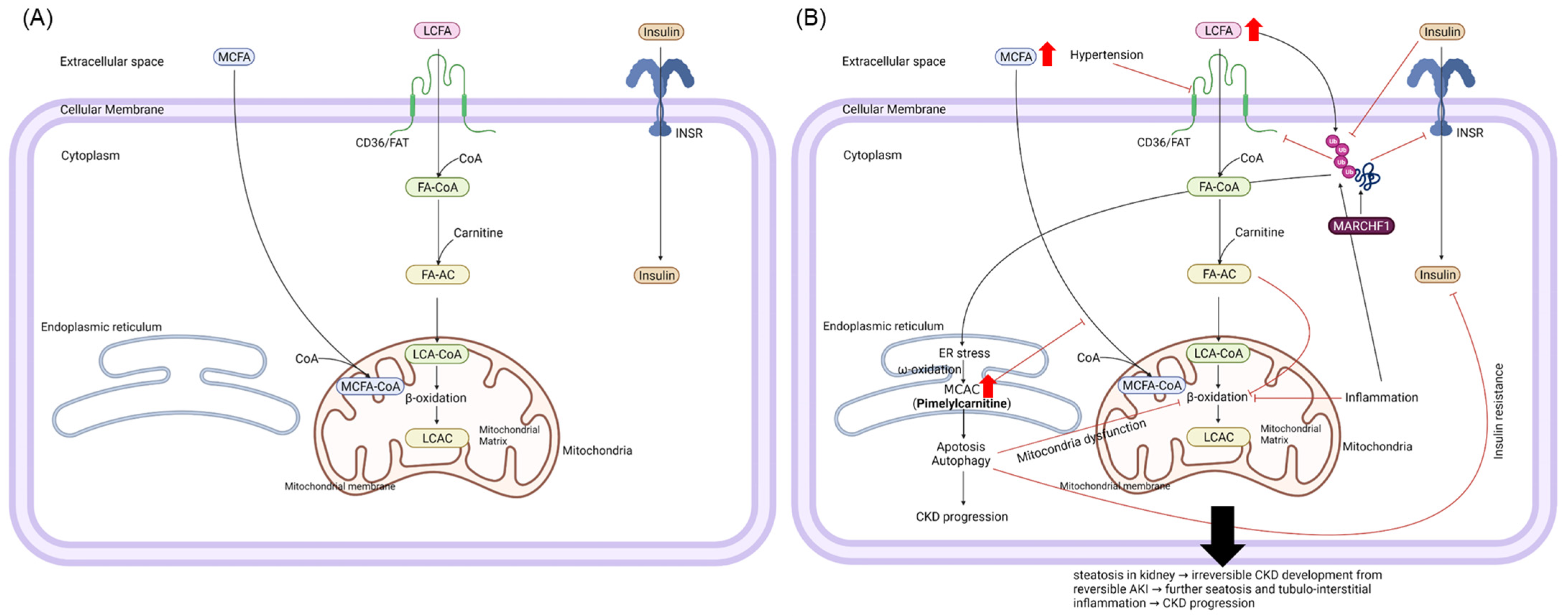 Metabolites 12 01139 g003 Metabolites 12 01139 g003