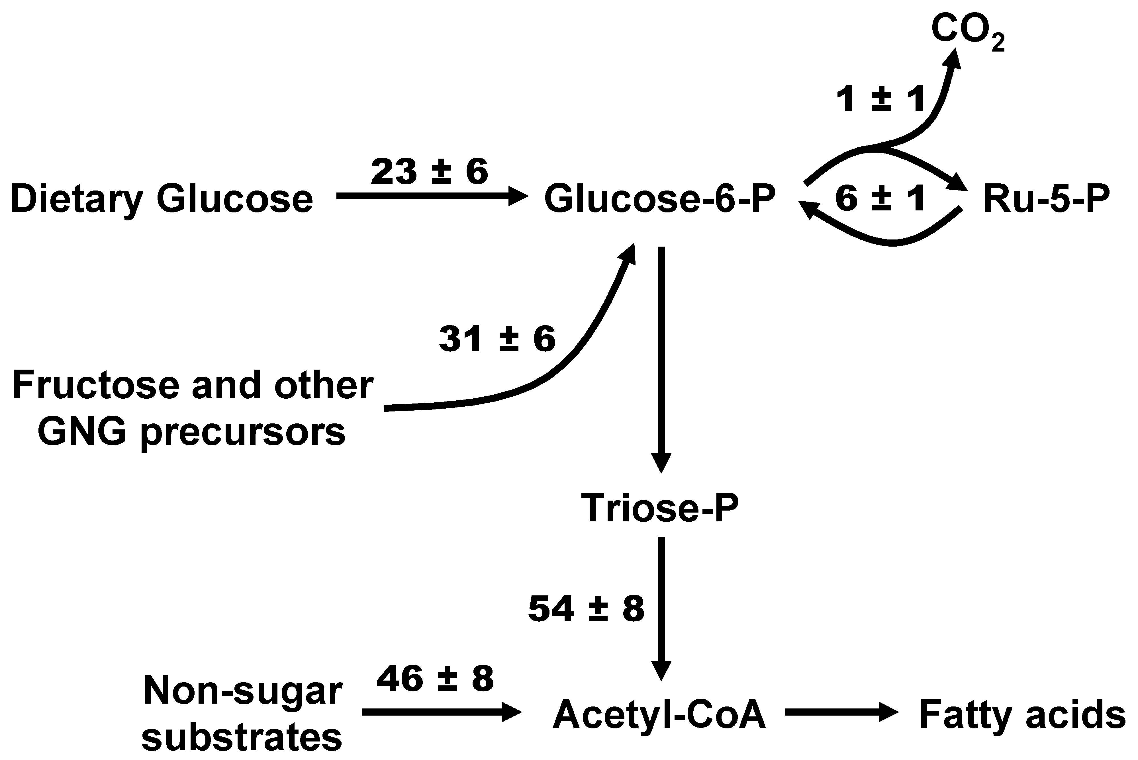 Metabolites 12 01142 g003 Metabolites 12 01142 g003