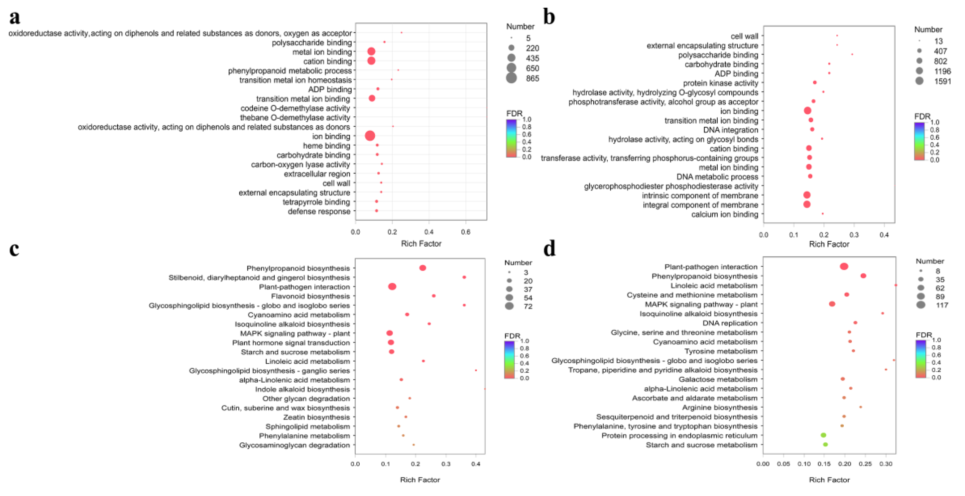 Metabolites 12 01143 g004 Metabolites 12 01143 g004