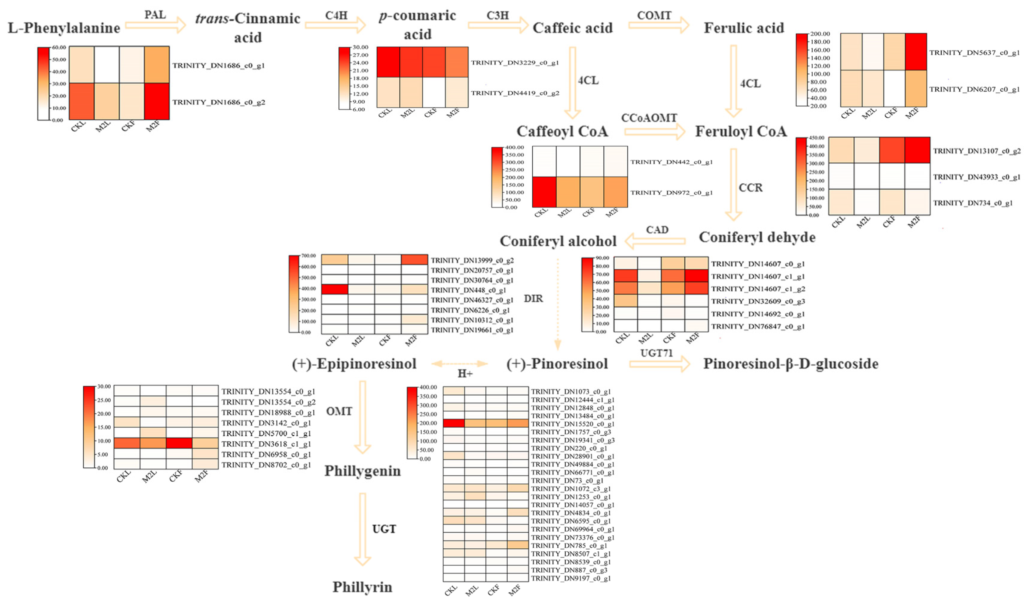 Metabolites 12 01143 g005 Metabolites 12 01143 g005