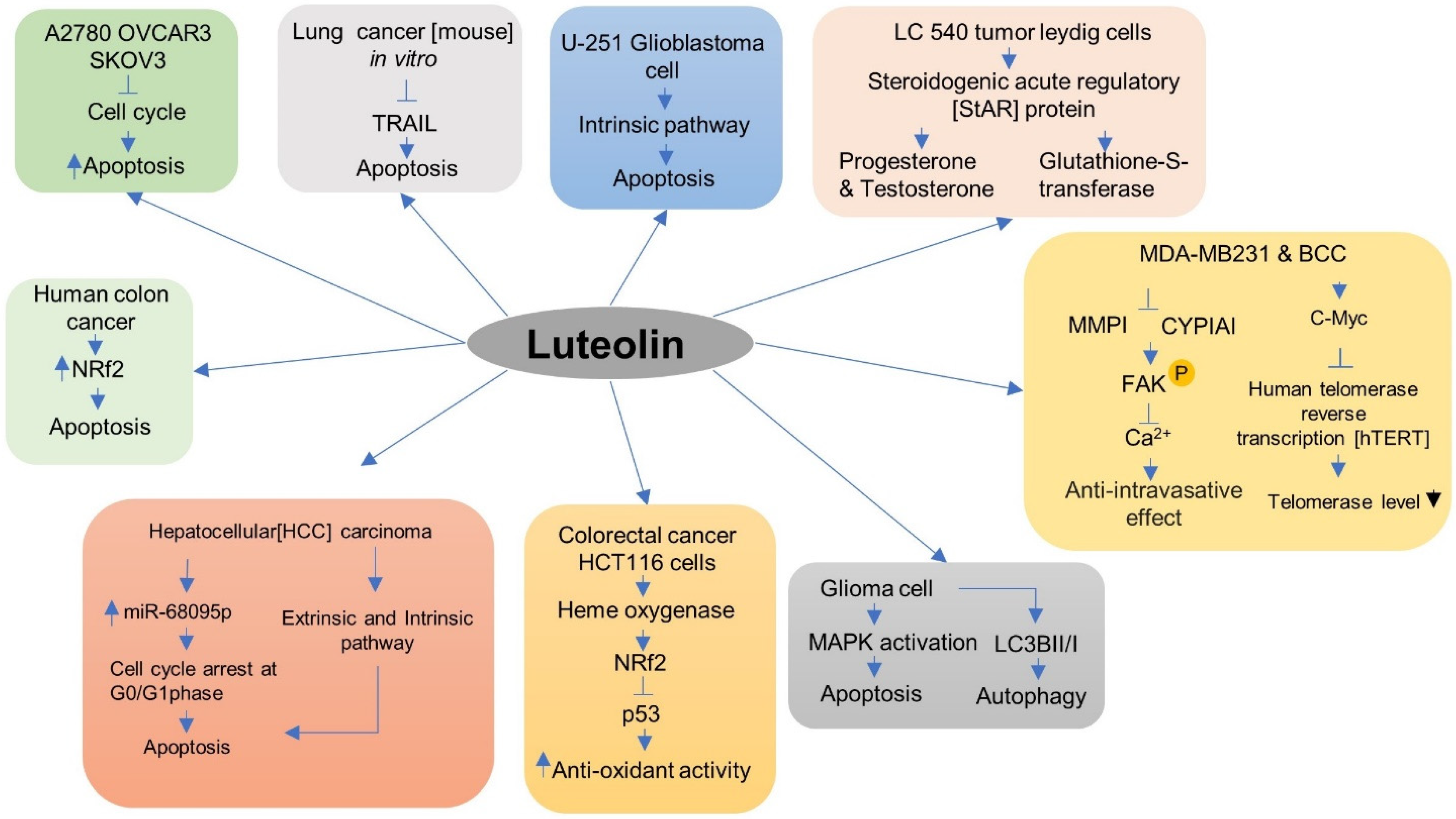 Metabolites 12 01145 g004 Metabolites 12 01145 g004