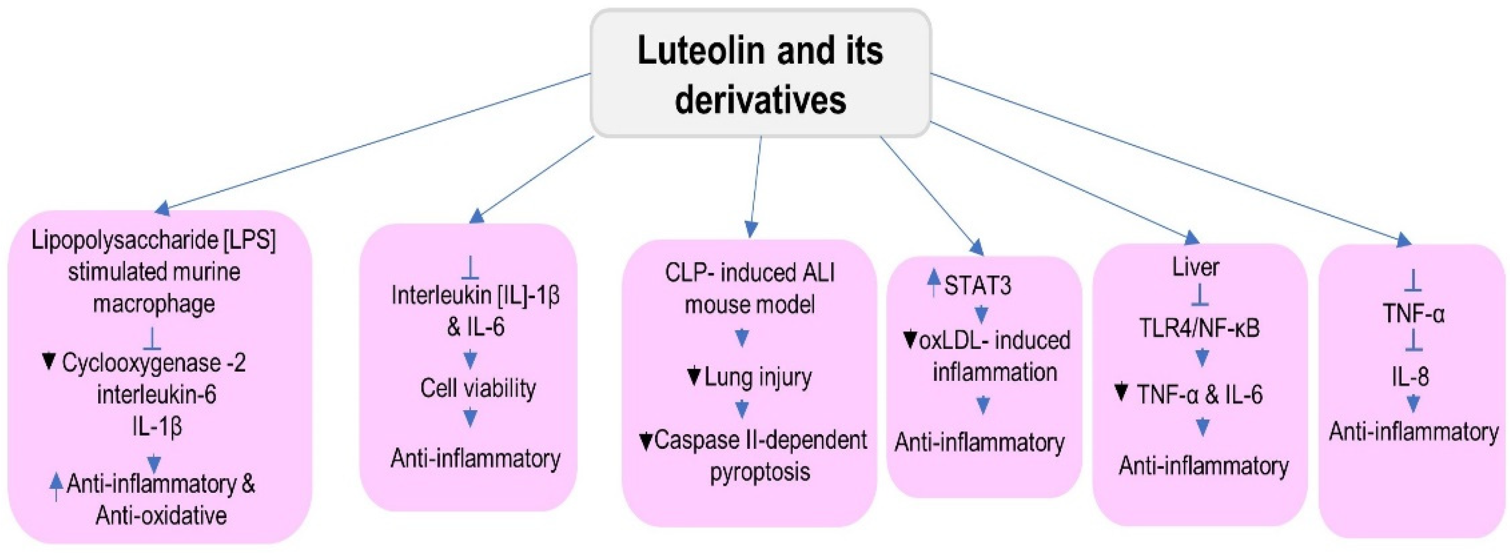 Metabolites 12 01145 g005 Metabolites 12 01145 g005