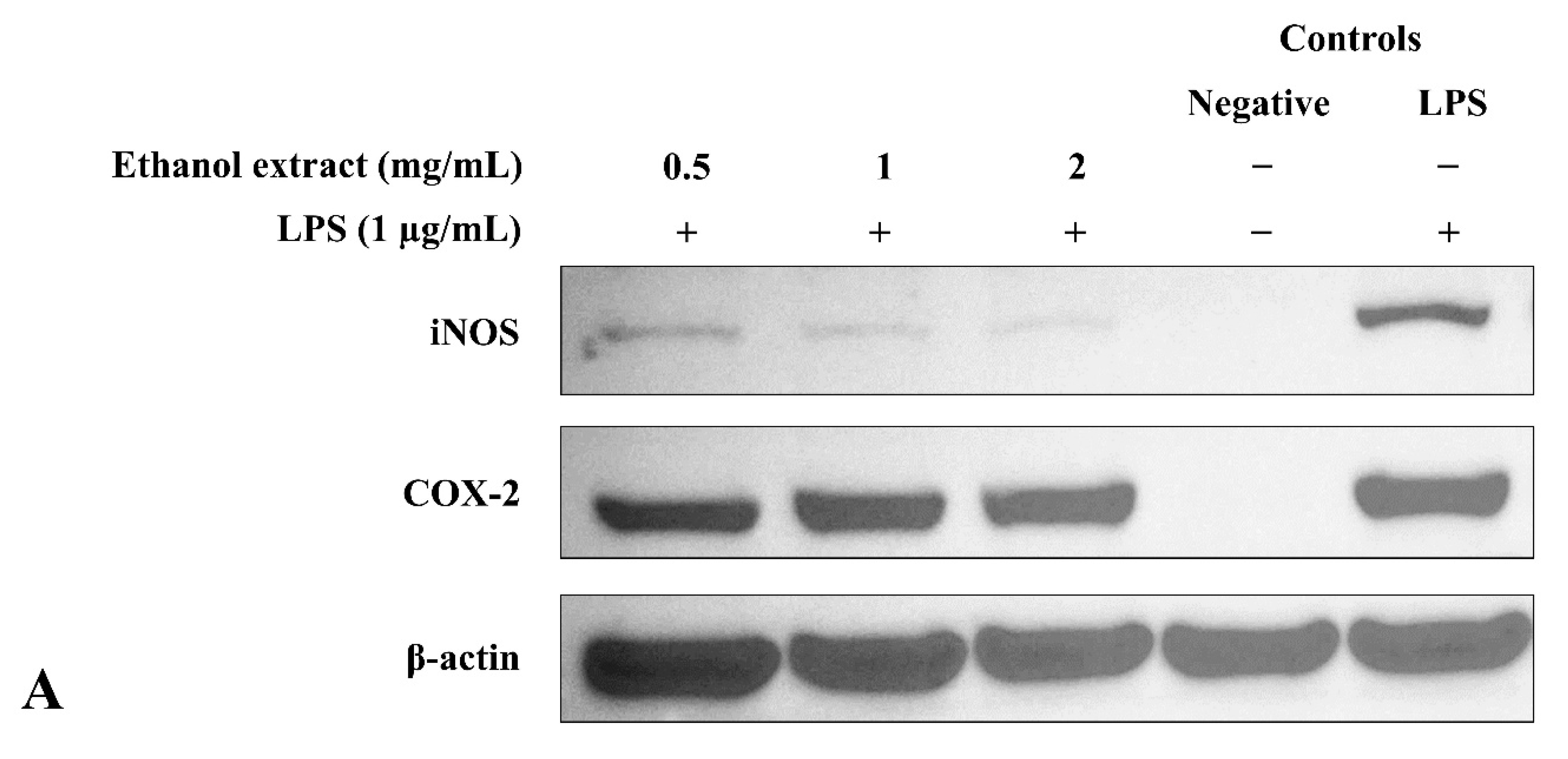 Metabolites 12 01147 g005a