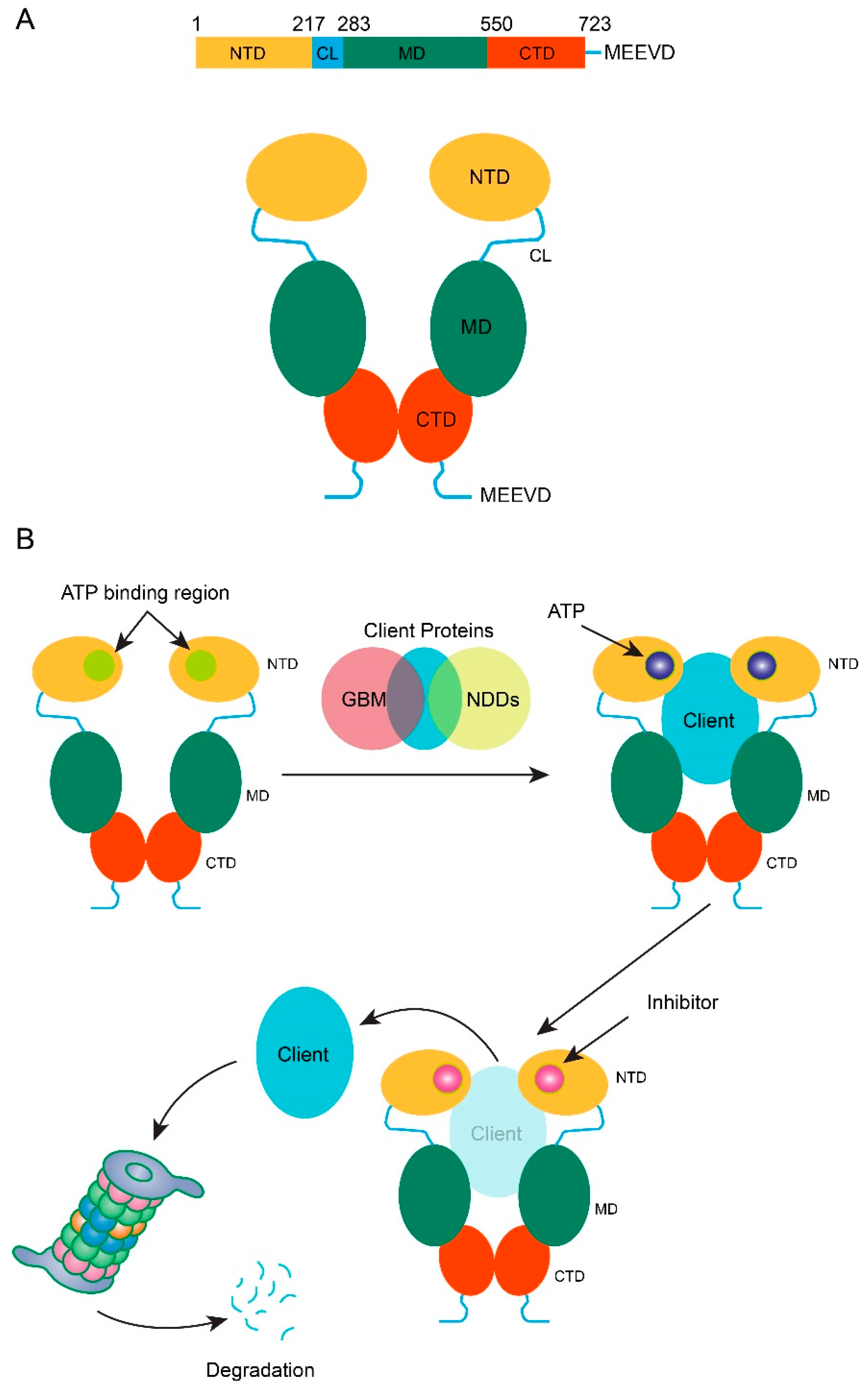Metabolites 12 01153 g001