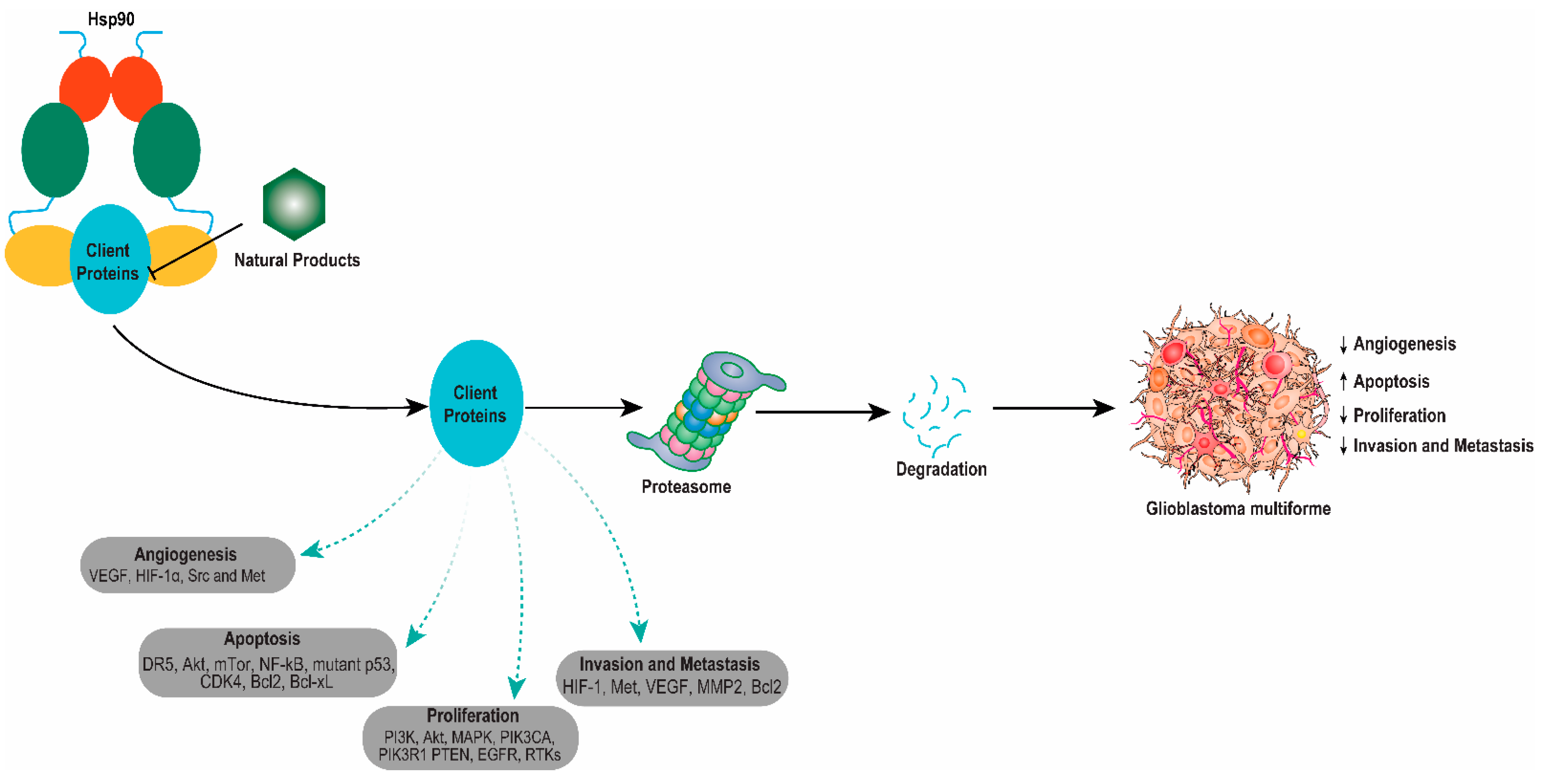 Metabolites 12 01153 g002