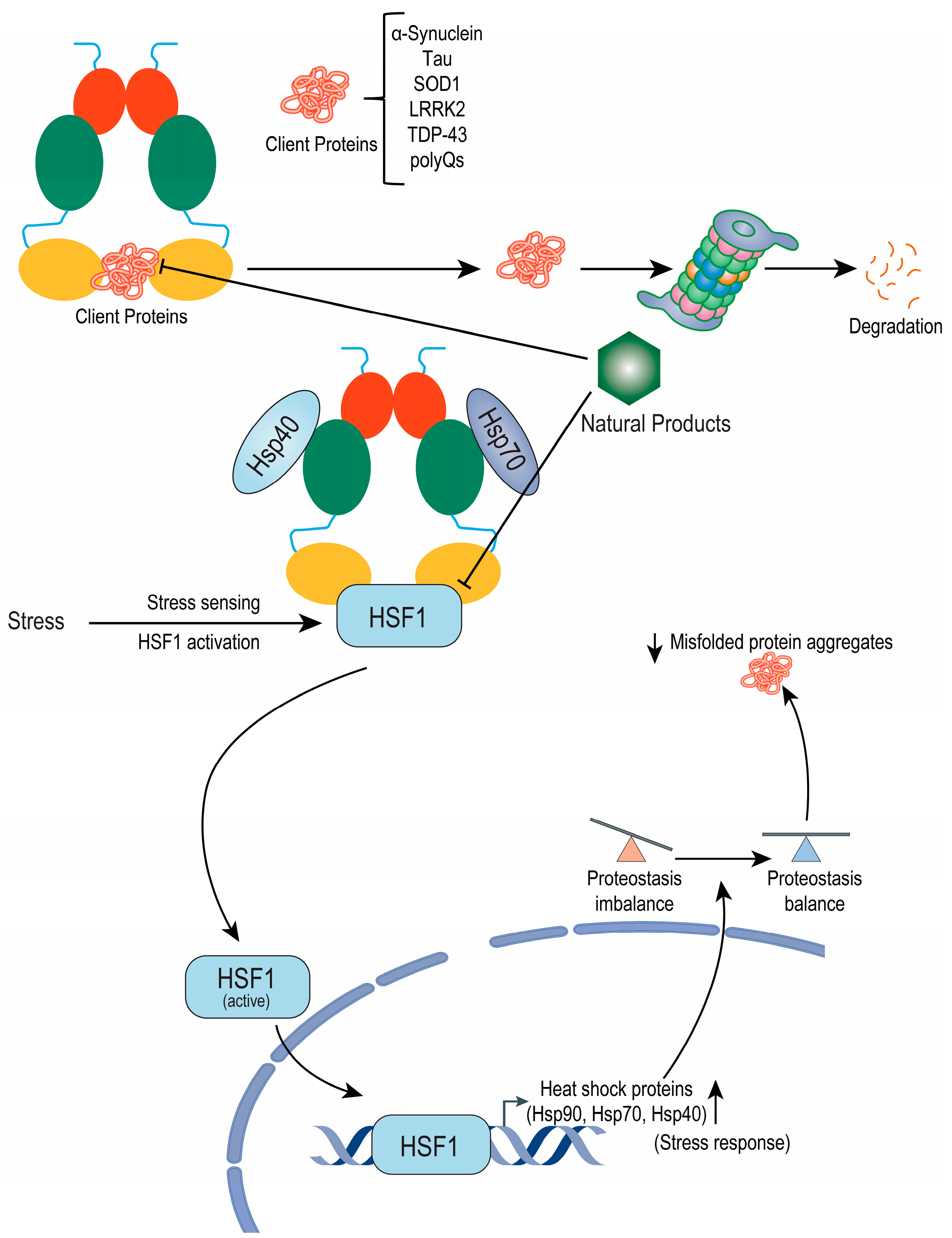 Metabolites 12 01153 g003