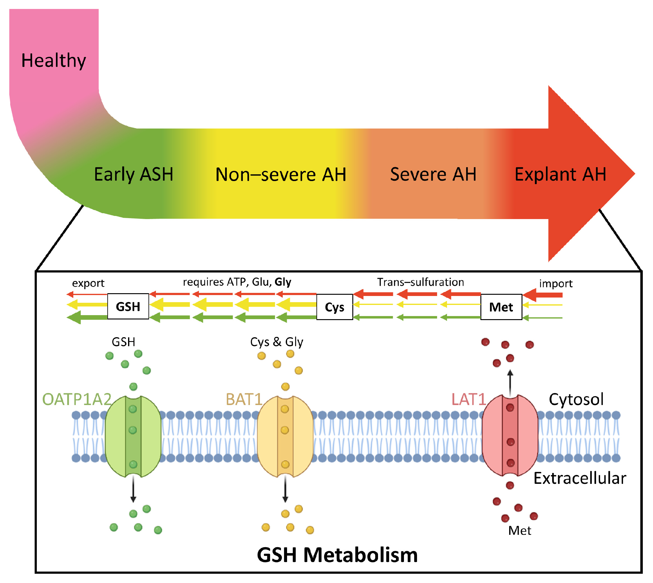 Metabolites 12 01157 g006 Metabolites 12 01157 g006