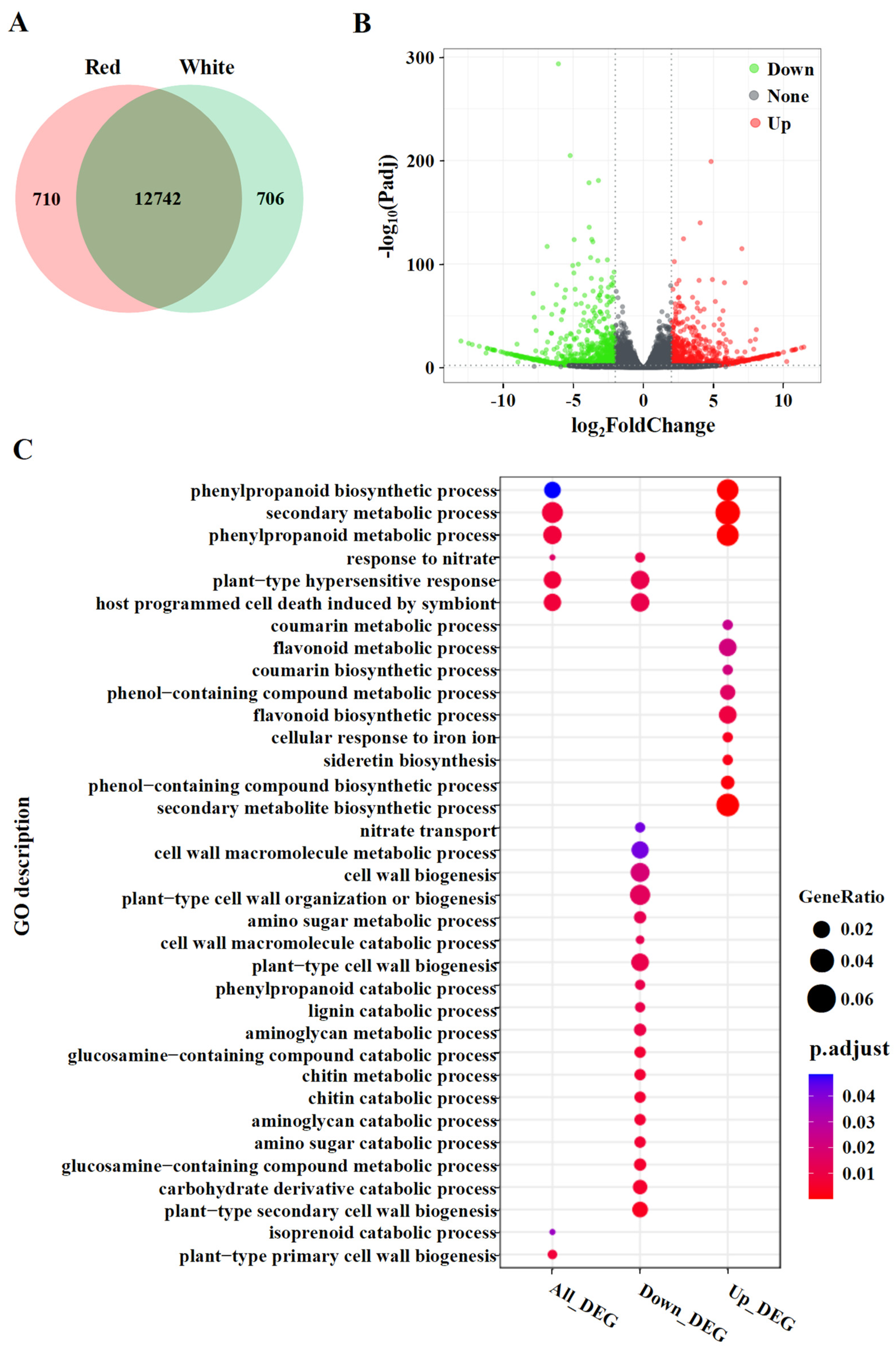 Metabolites 12 01161 g004 Metabolites 12 01161 g004