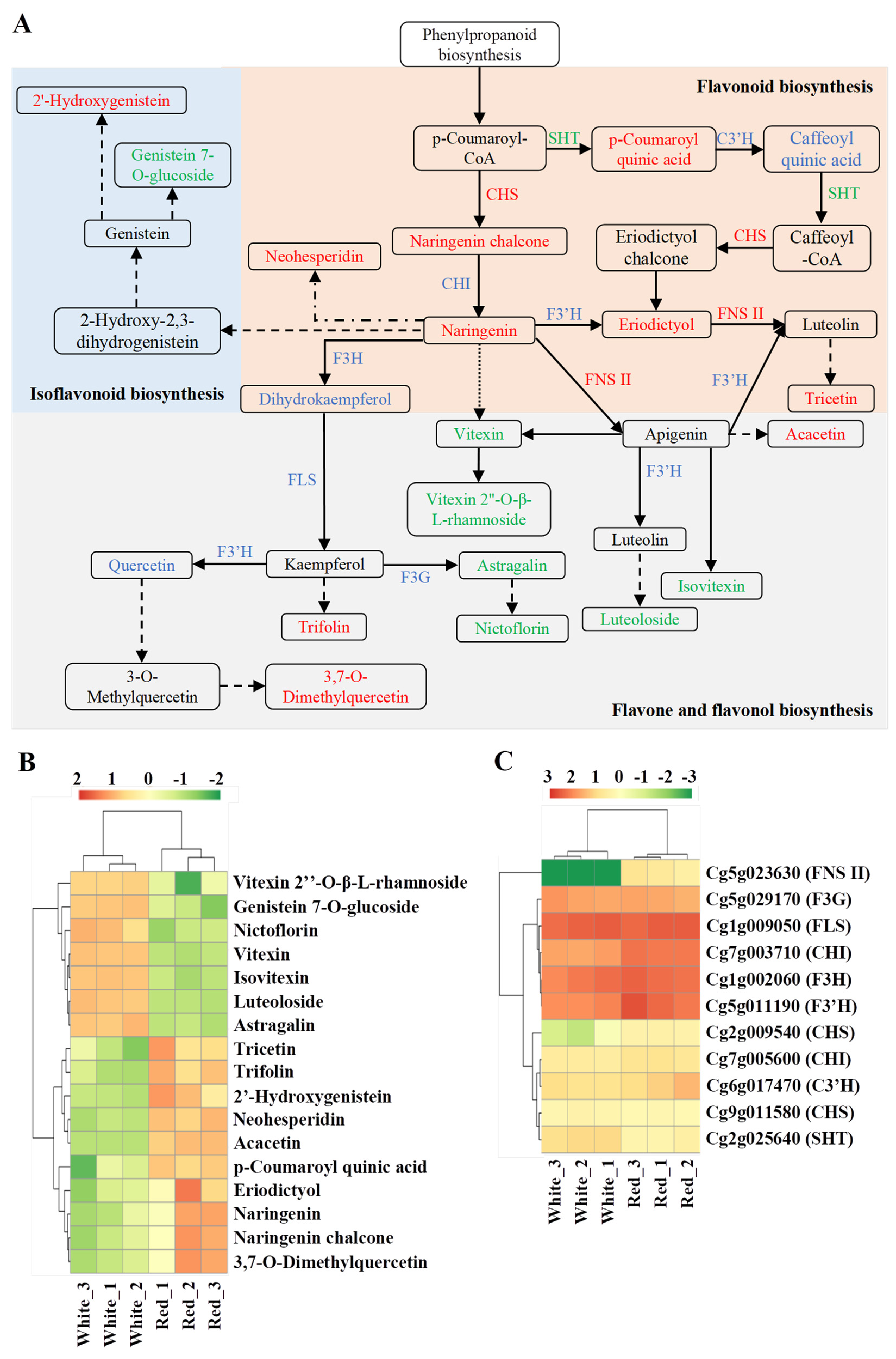 Metabolites 12 01161 g006 Metabolites 12 01161 g006