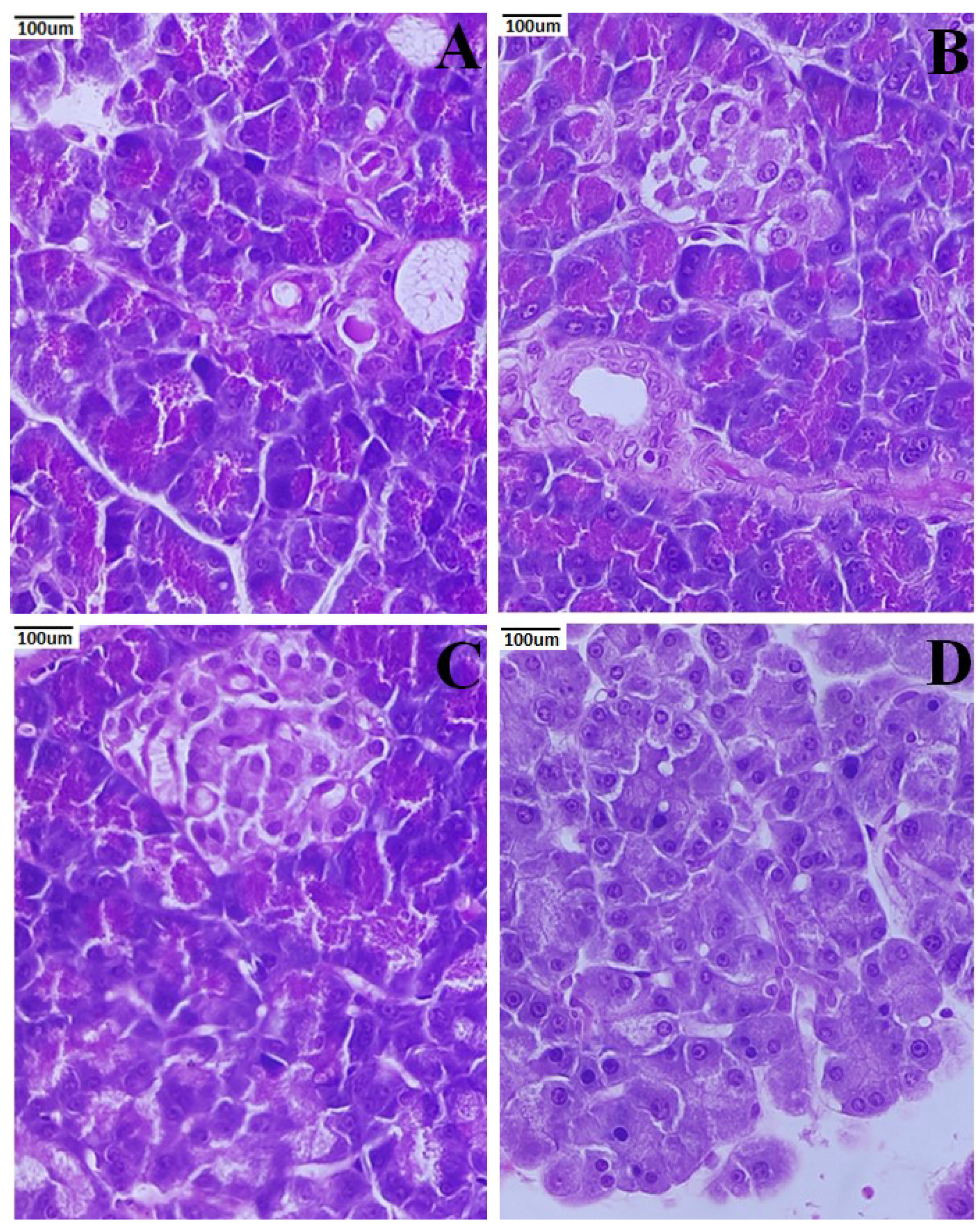 Metabolites 12 01166 g008