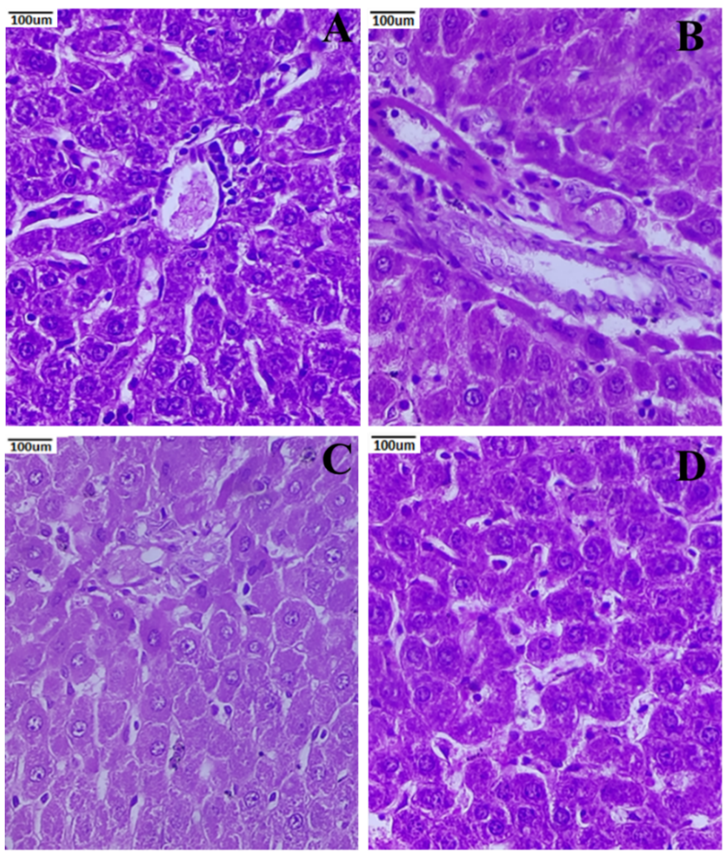Metabolites 12 01166 g009