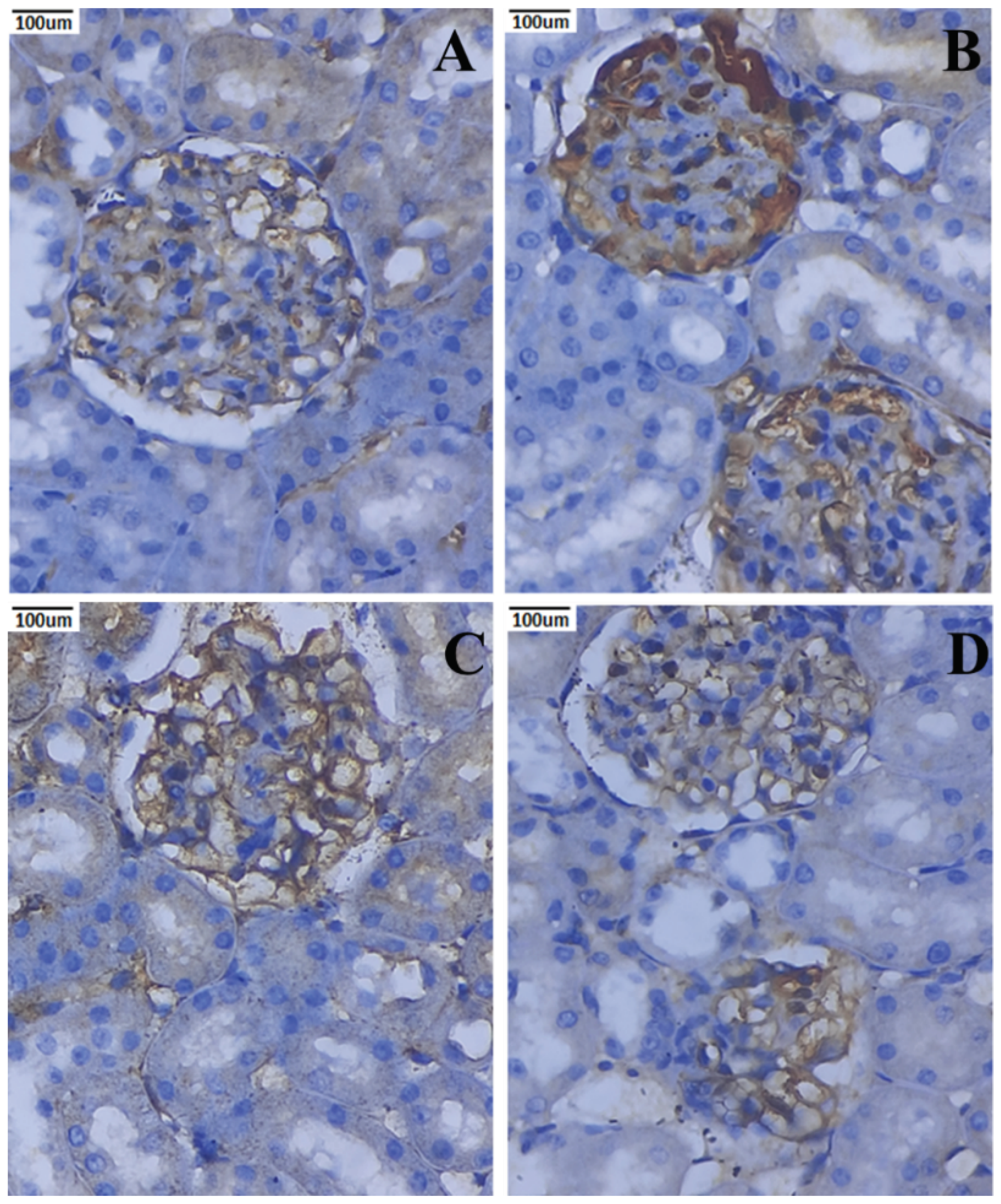Metabolites 12 01166 g011