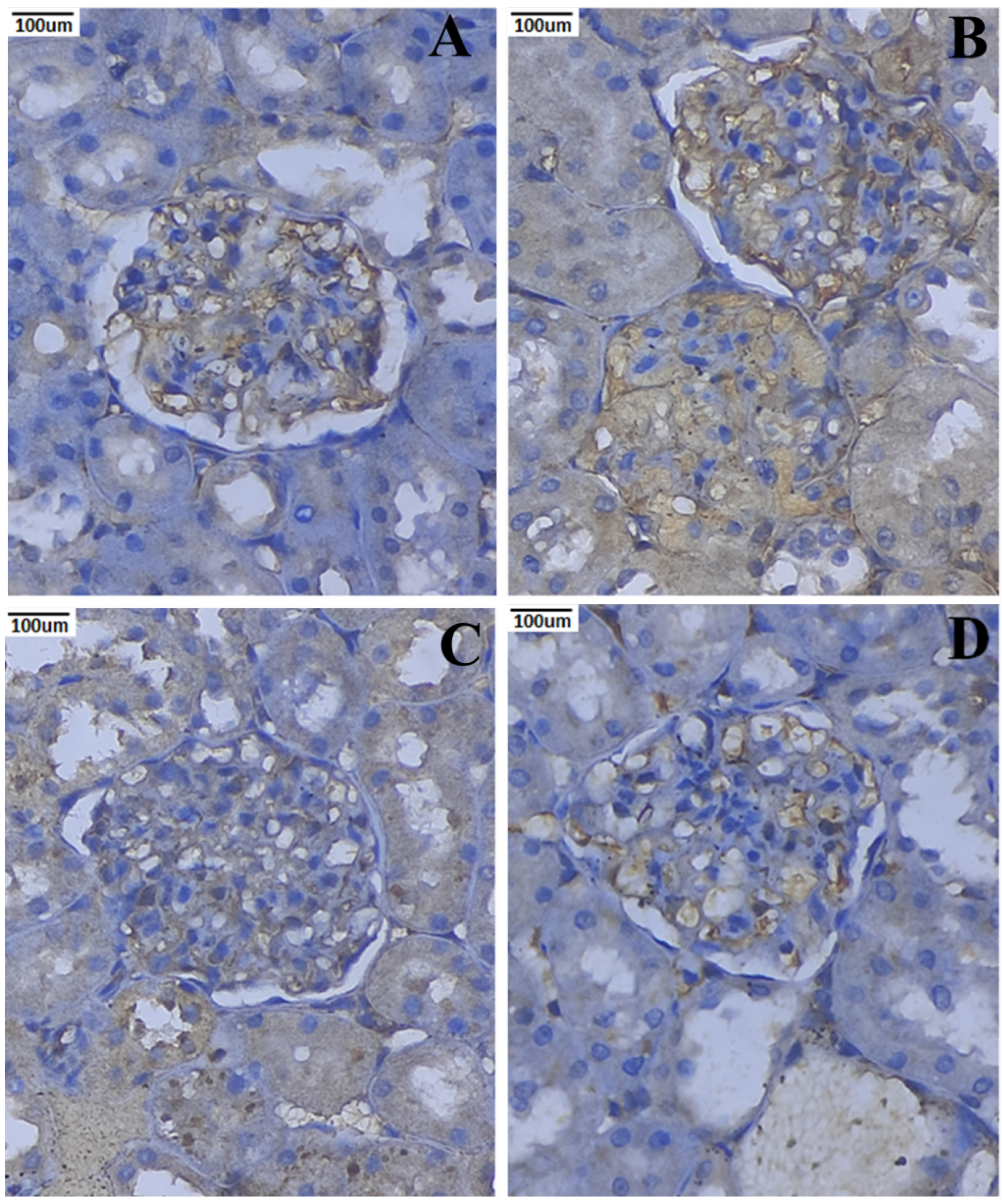 Metabolites 12 01166 g012
