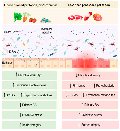 The Nexus of Diet Gut Microbiota and Inflammatory Bowel Diseases in Dogs
