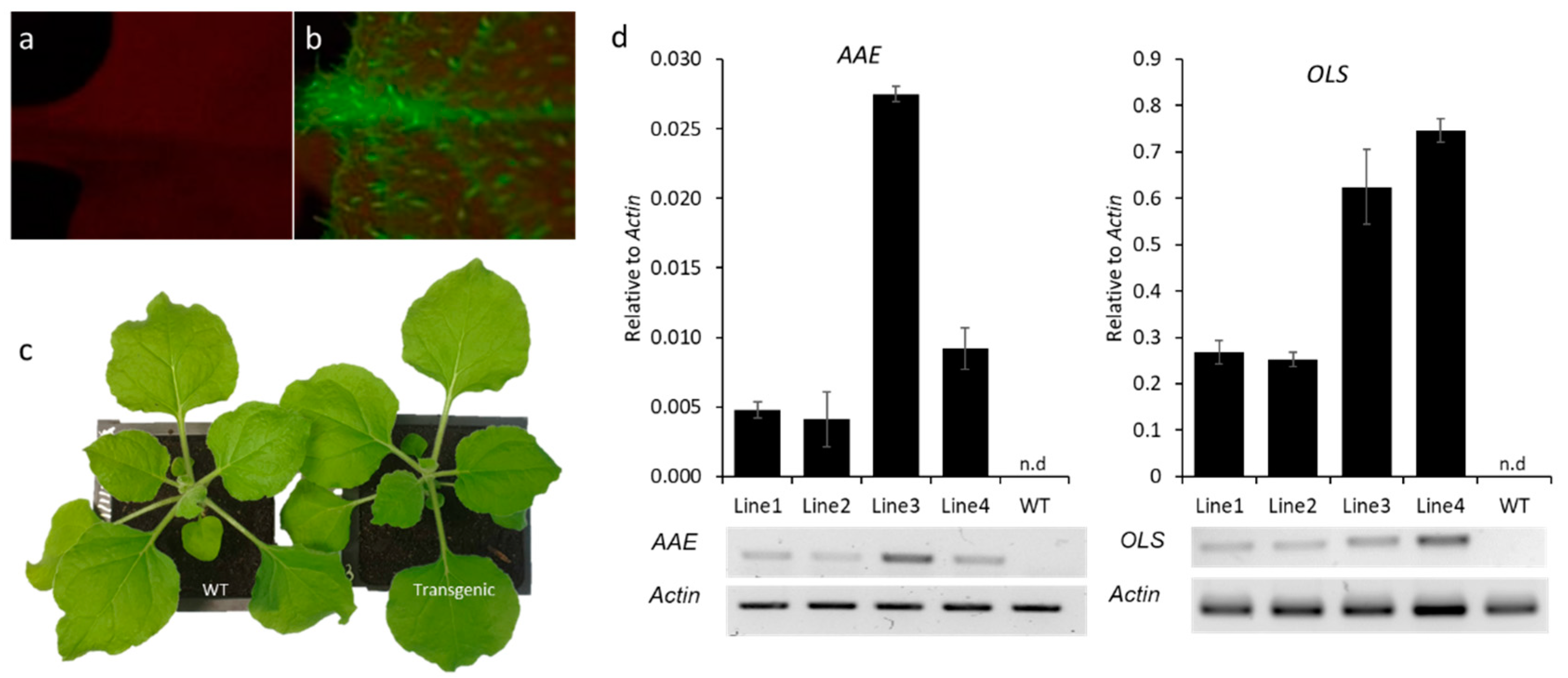 Metabolites 12 01181 g002 Metabolites 12 01181 g002