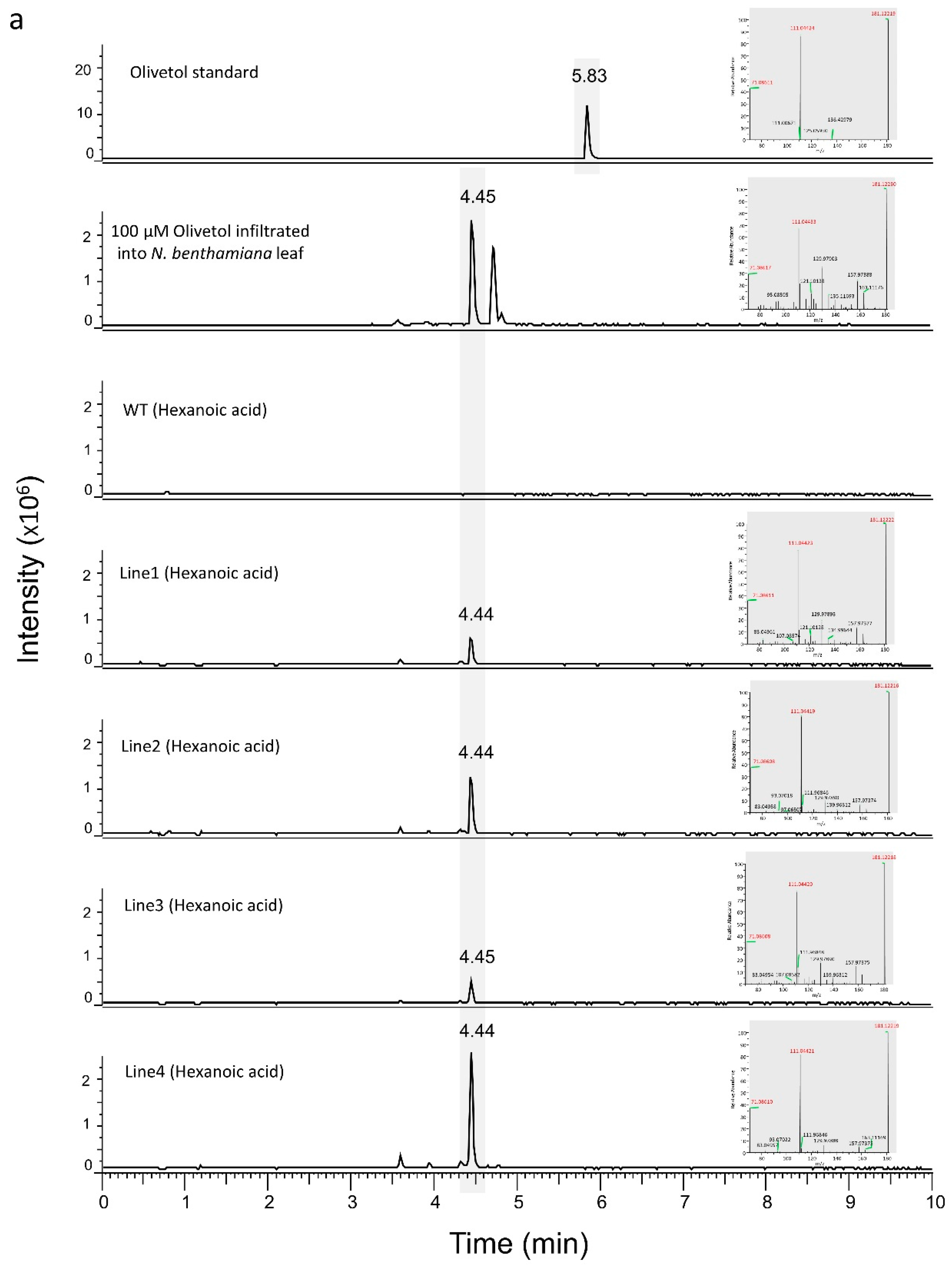 Metabolites 12 01181 g003a Metabolites 12 01181 g003a