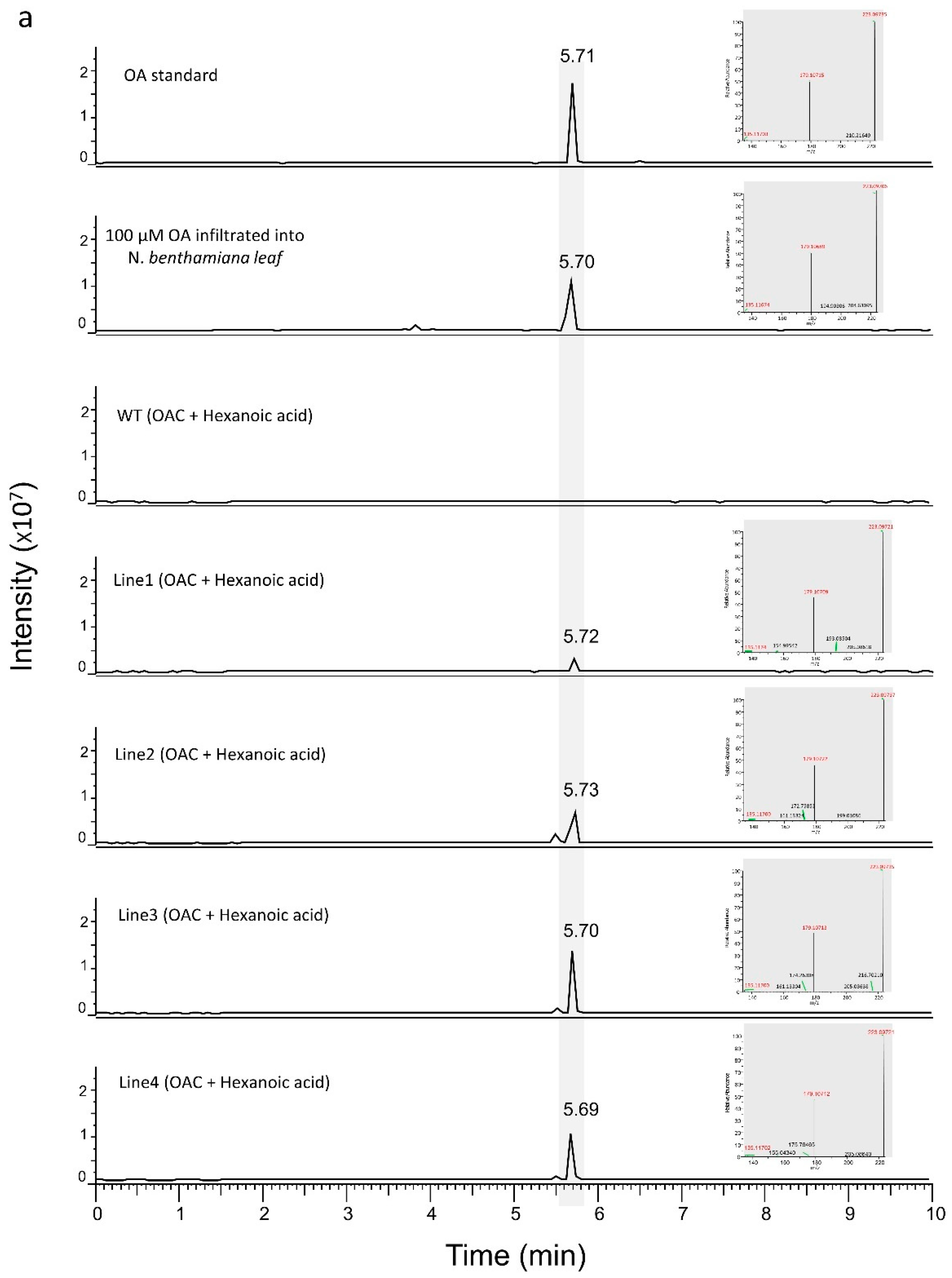 Metabolites 12 01181 g004a Metabolites 12 01181 g004a