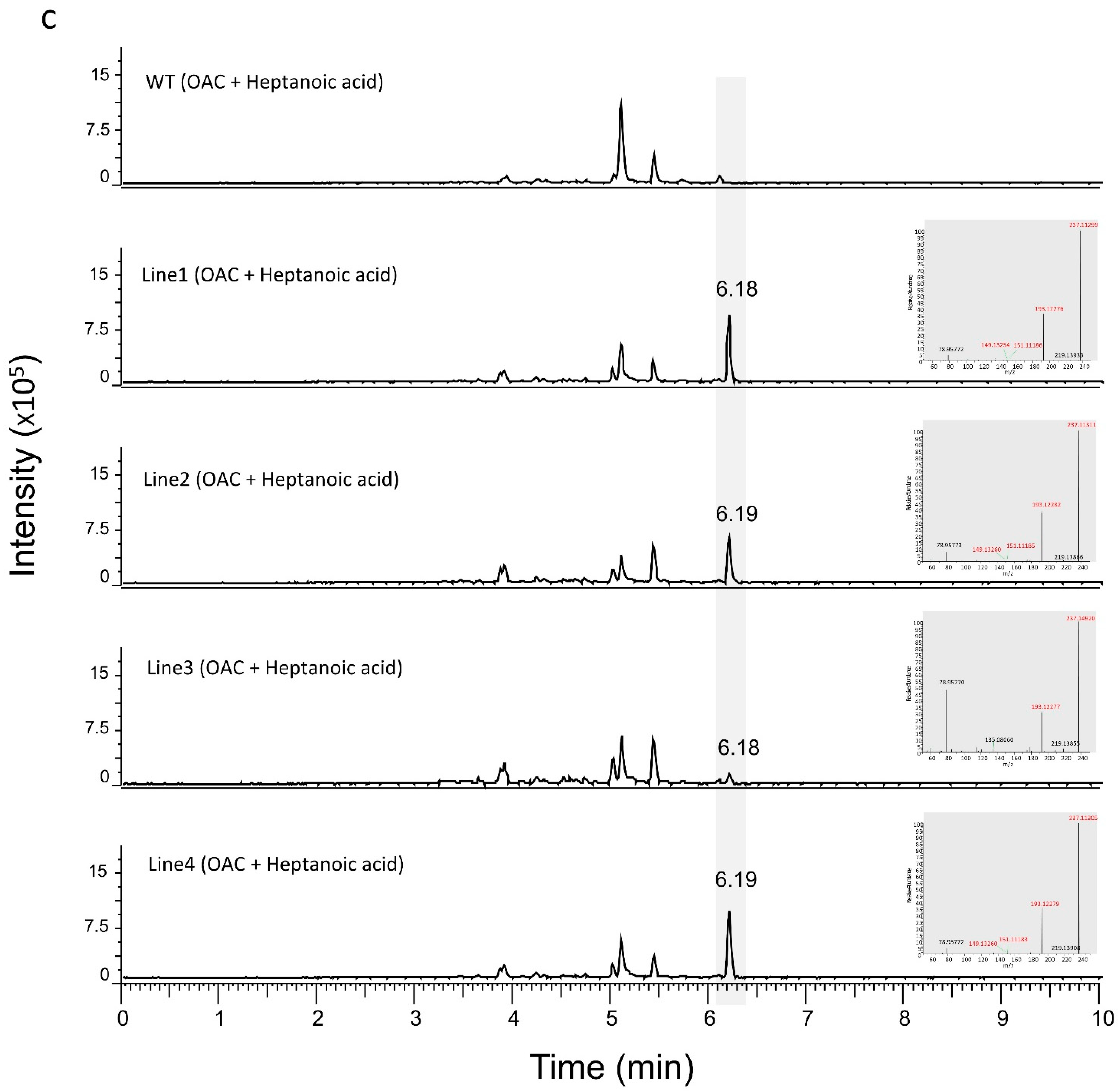 Metabolites 12 01181 g005c Metabolites 12 01181 g005c