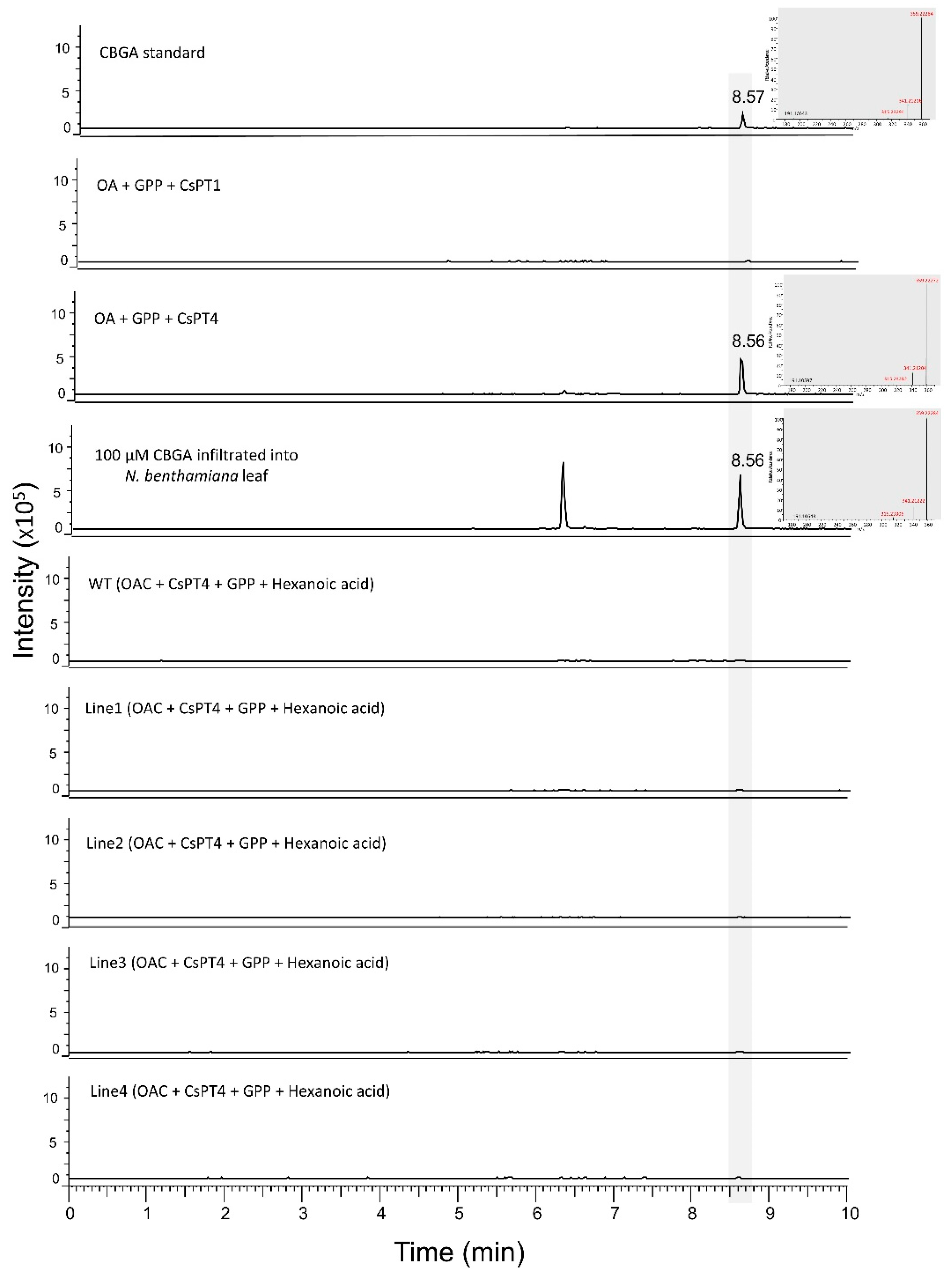 Metabolites 12 01181 g006 Metabolites 12 01181 g006