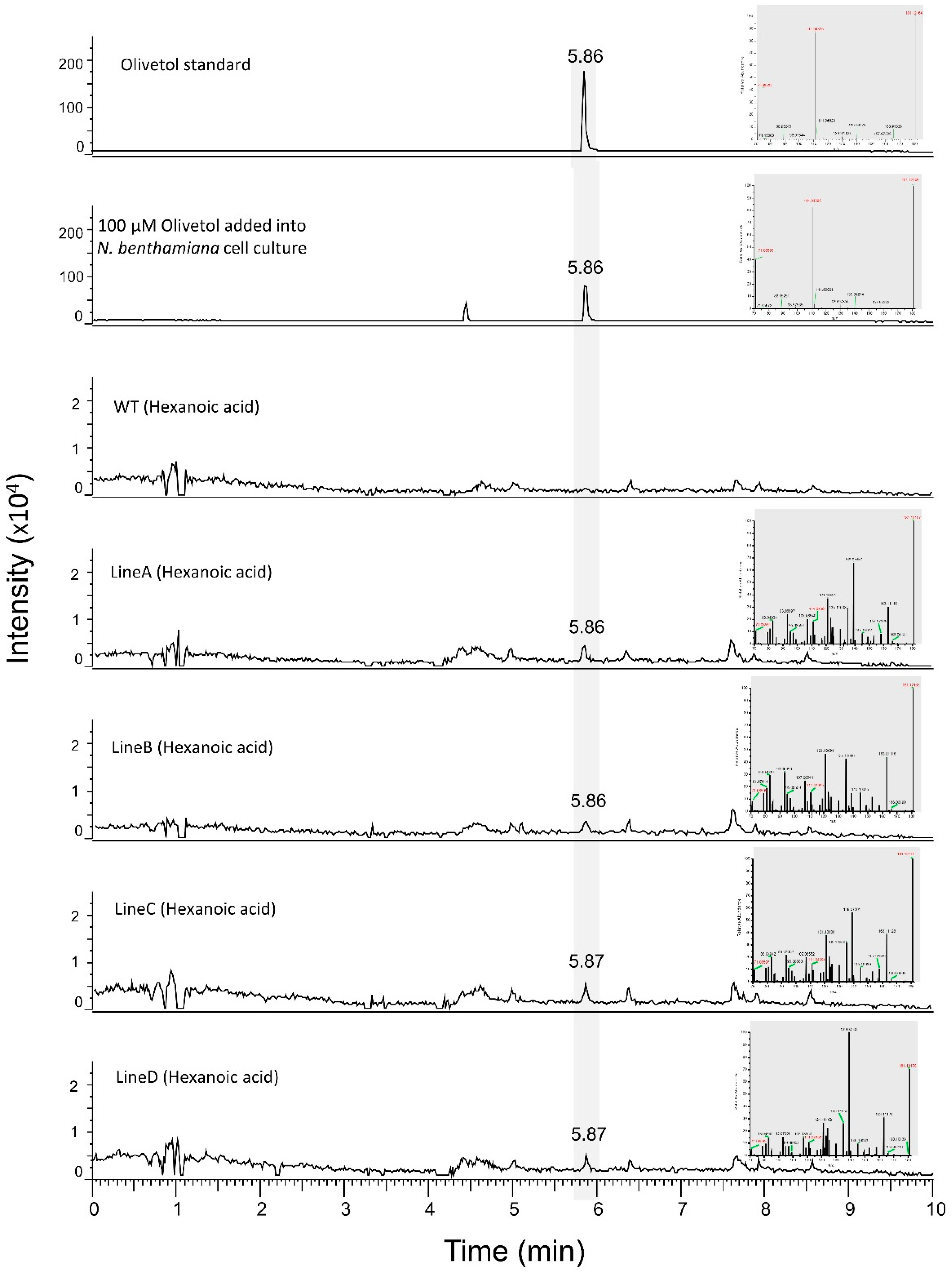 Metabolites 12 01181 g008 Metabolites 12 01181 g008
