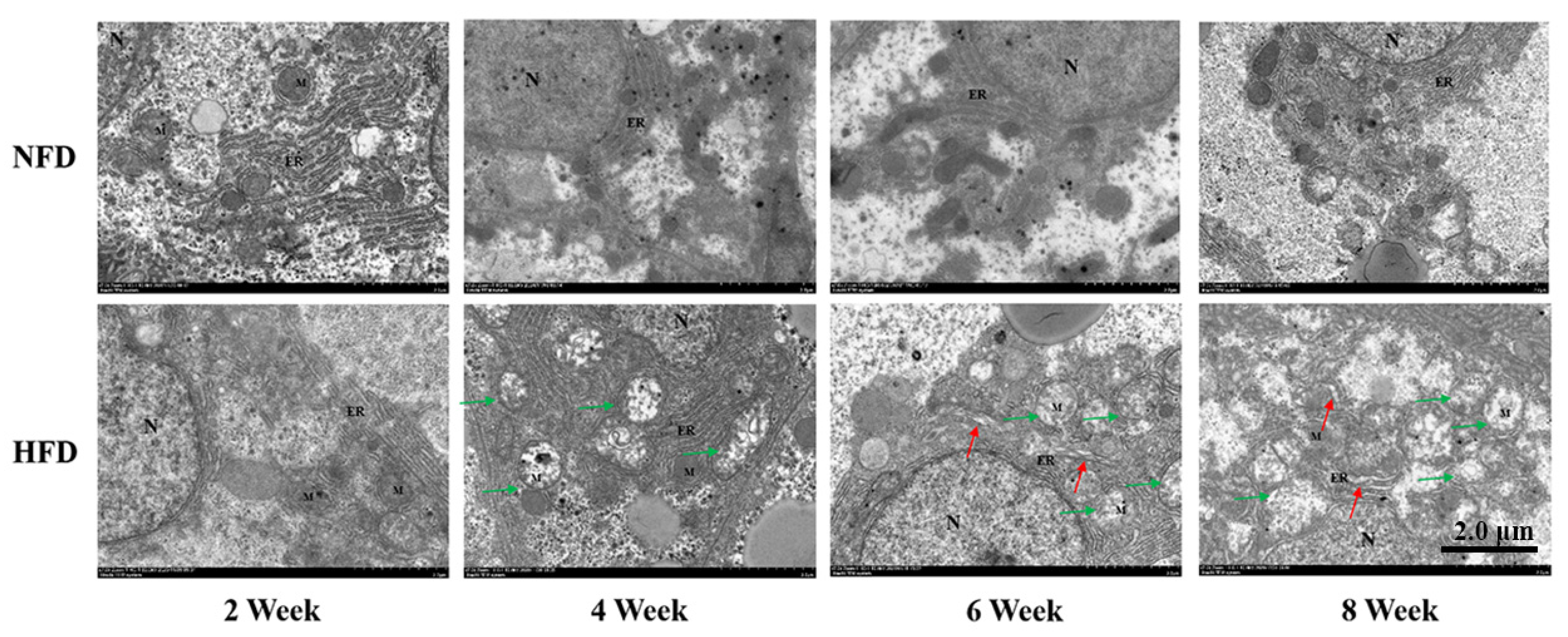 Metabolites 12 01197 g004