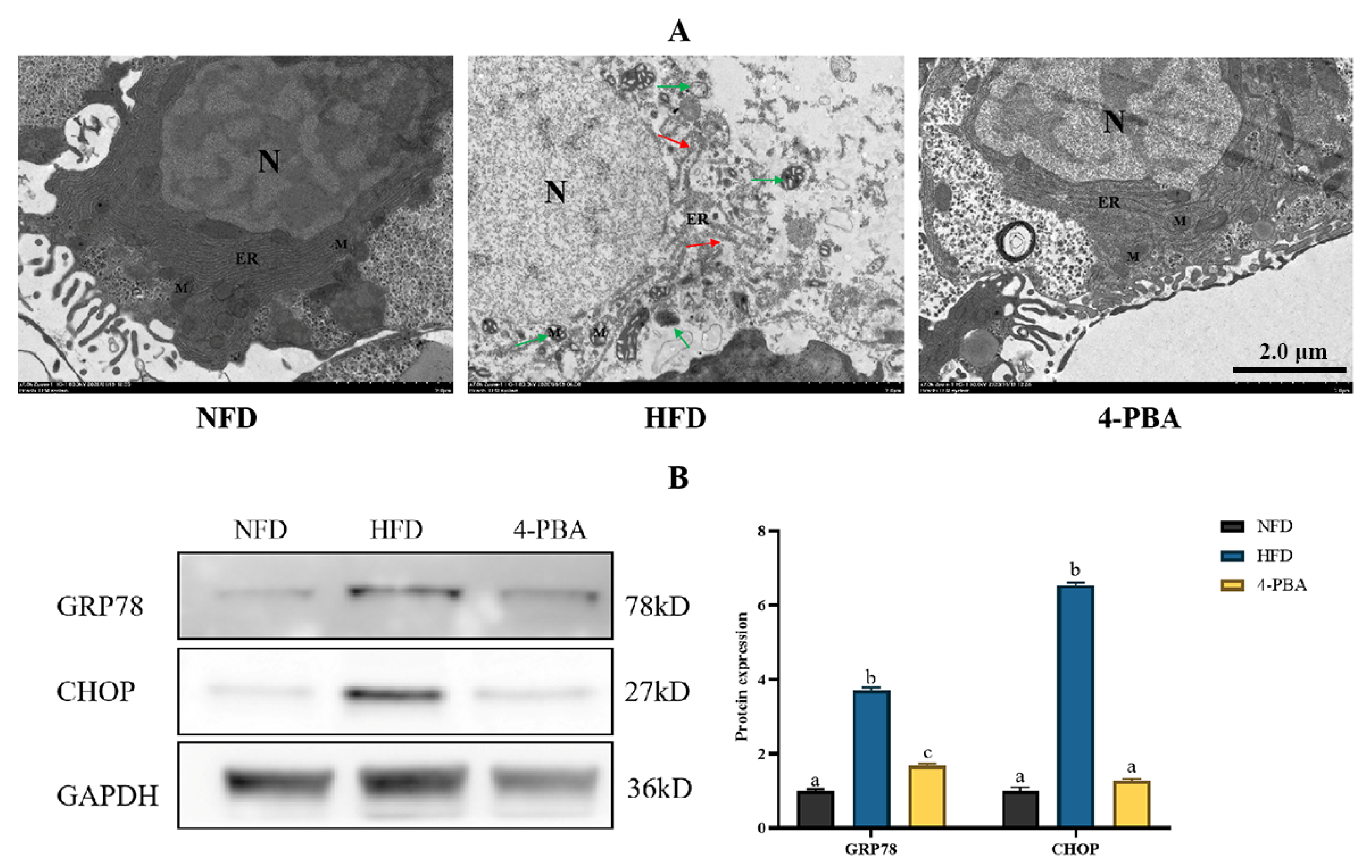 Metabolites 12 01197 g008