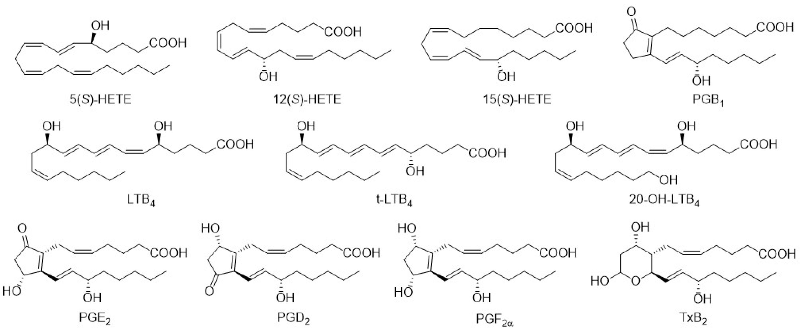 Metabolites 12 01198 g001