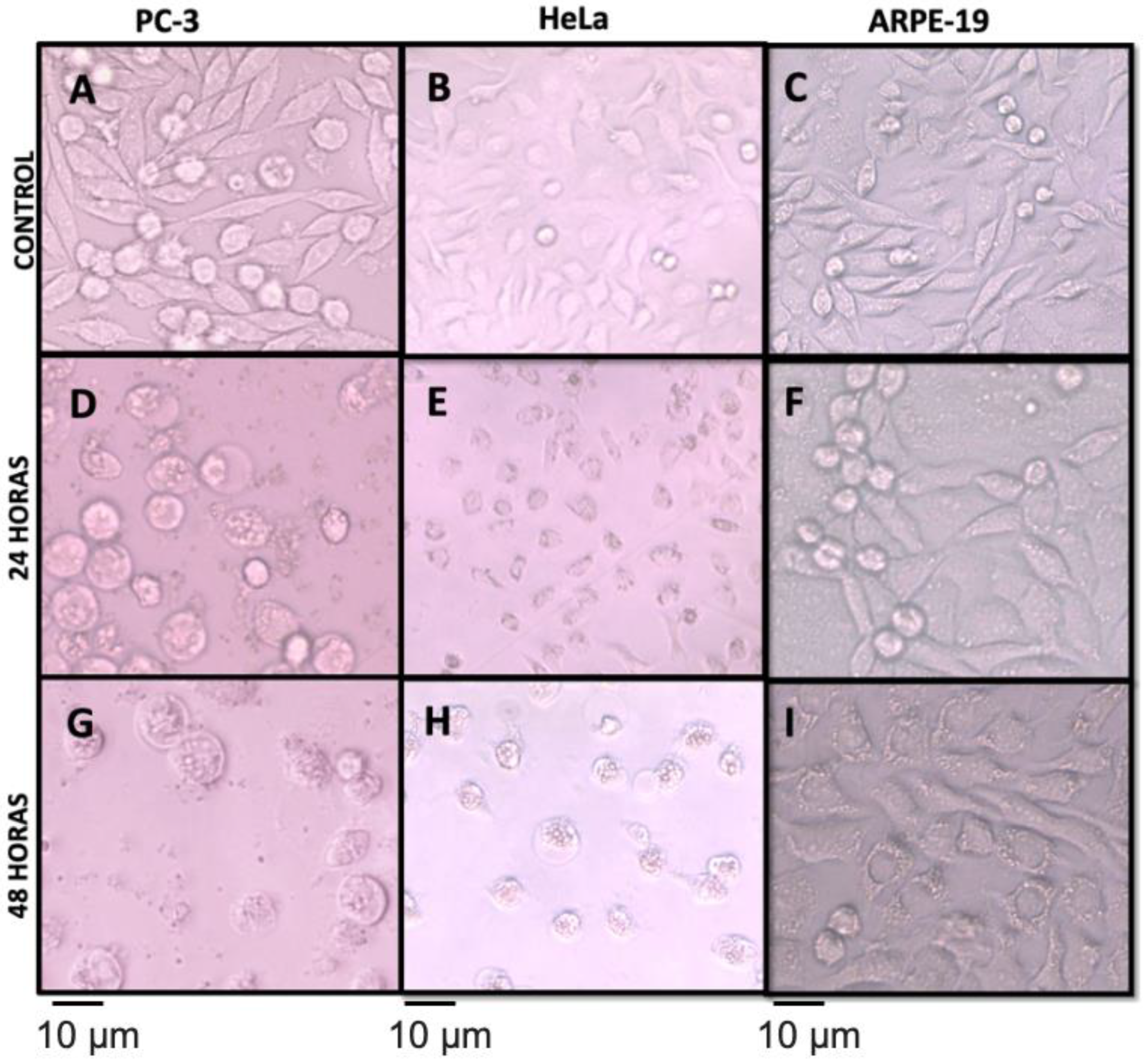 Metabolites 12 01203 g005