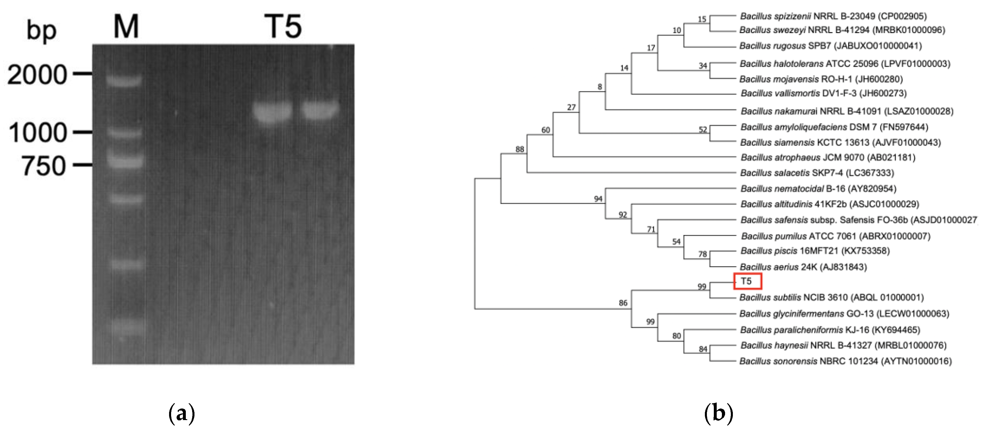 Metabolites 12 01204 g001