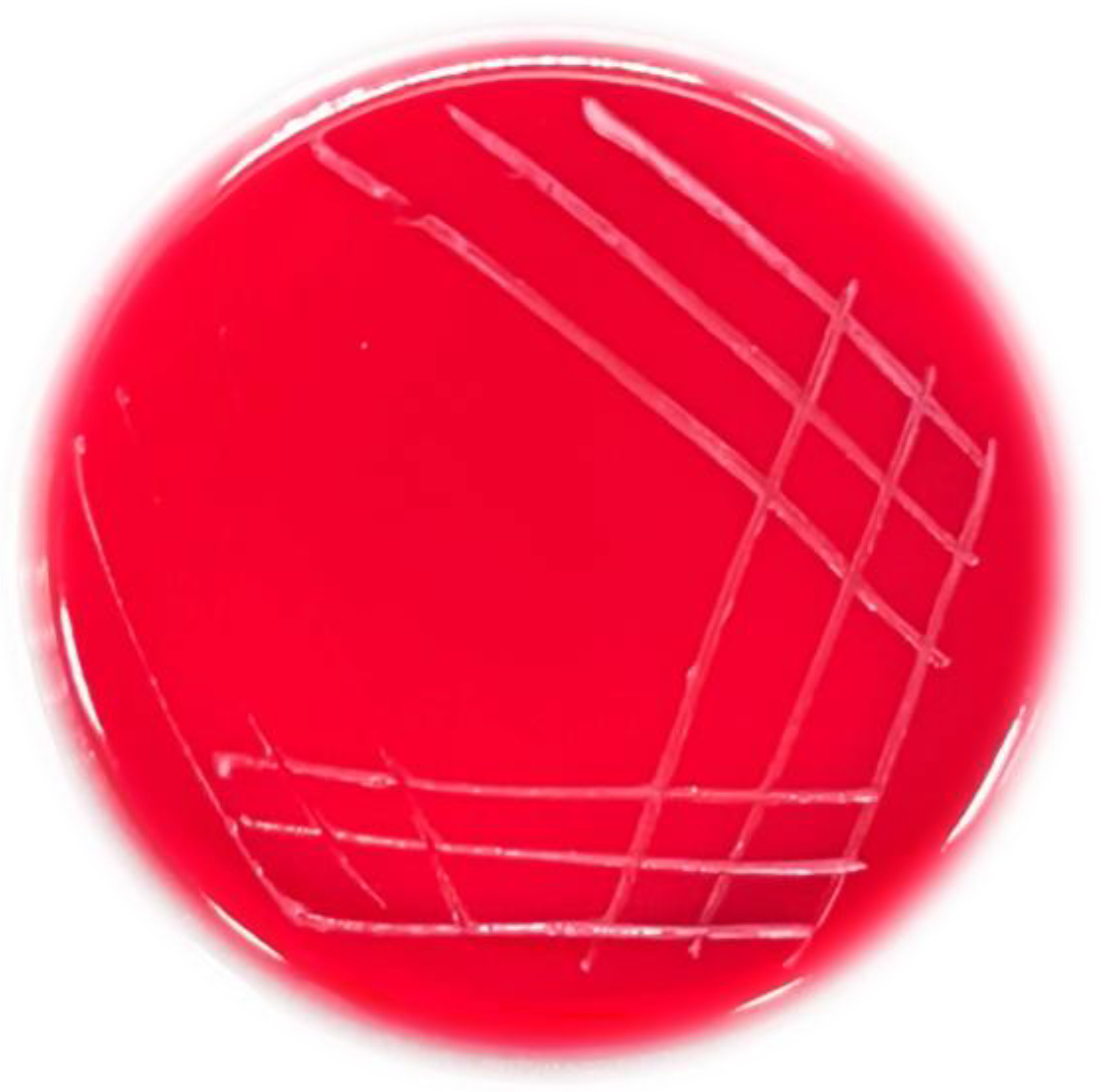 Metabolites 12 01204 g006