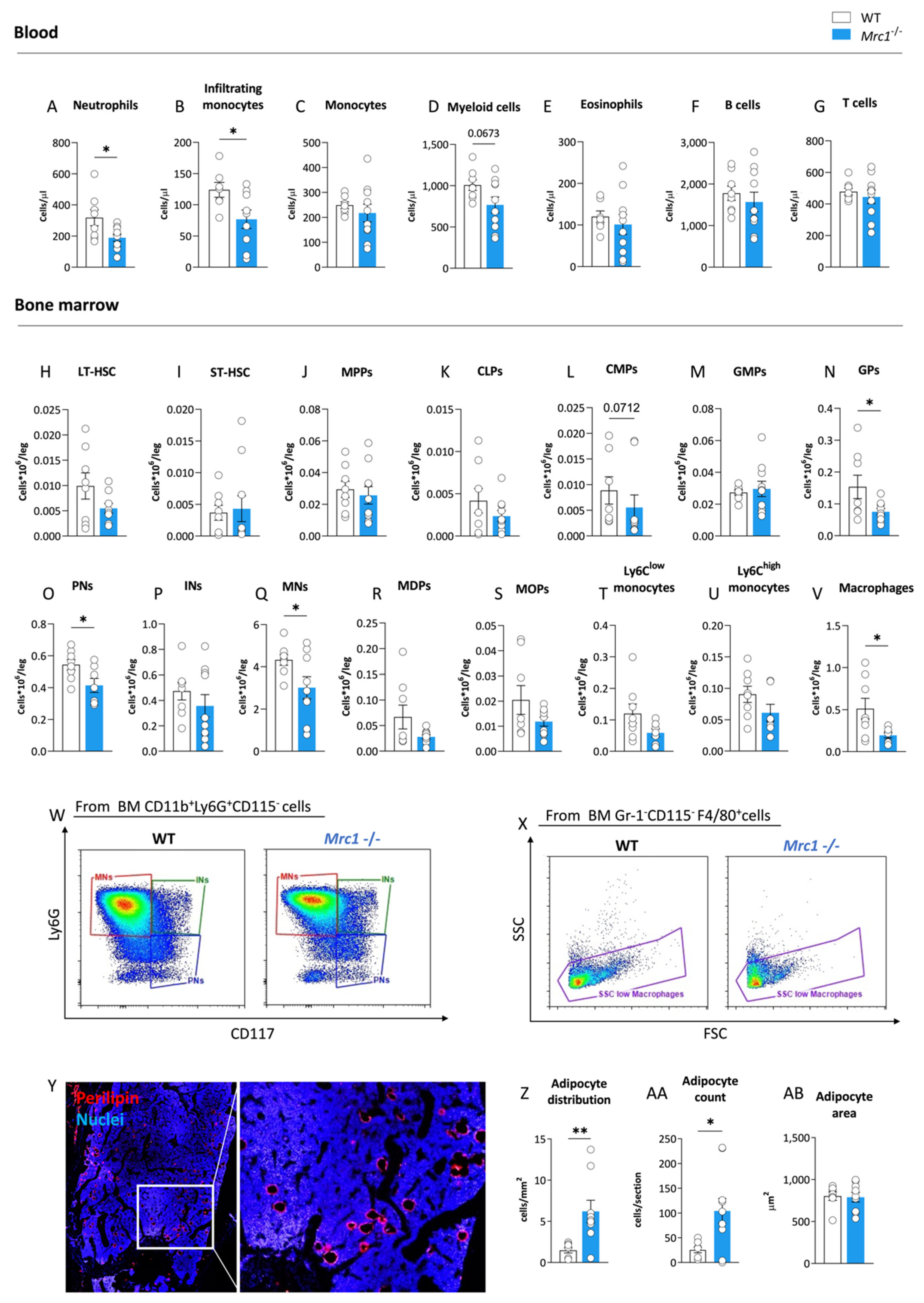 Metabolites 12 01205 g001 Metabolites 12 01205 g001