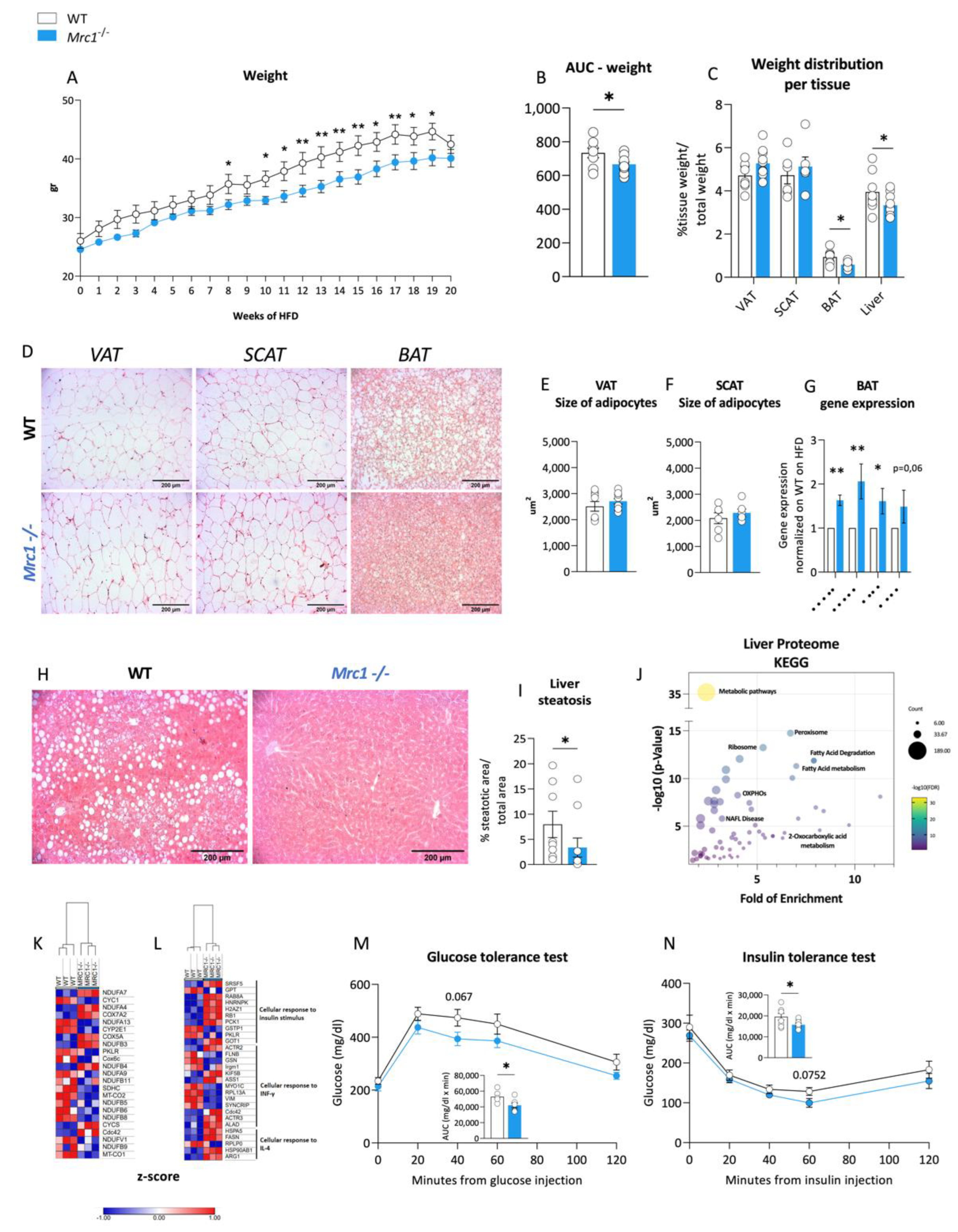 Metabolites 12 01205 g004 Metabolites 12 01205 g004