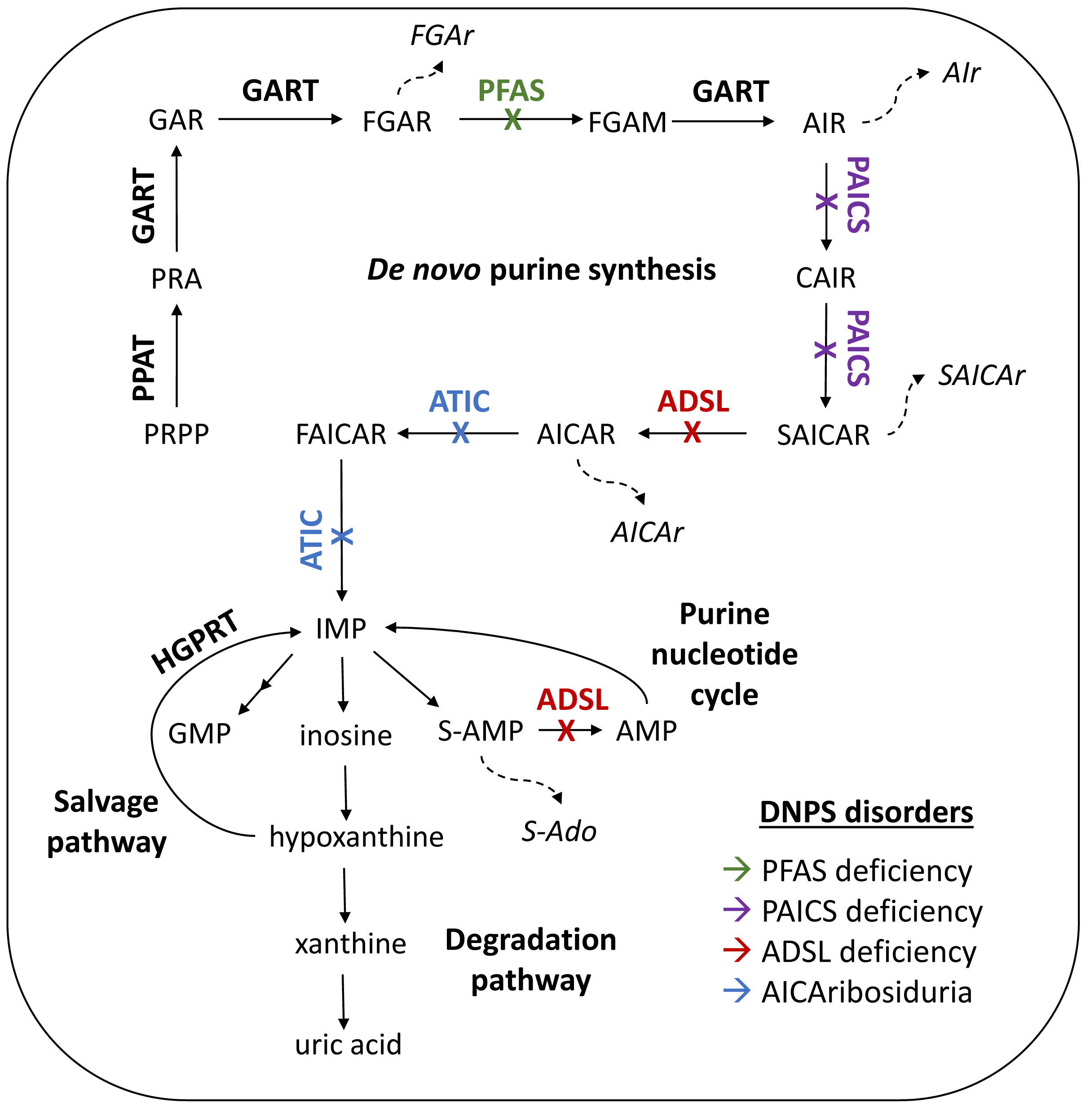 Metabolites 12 01210 g001