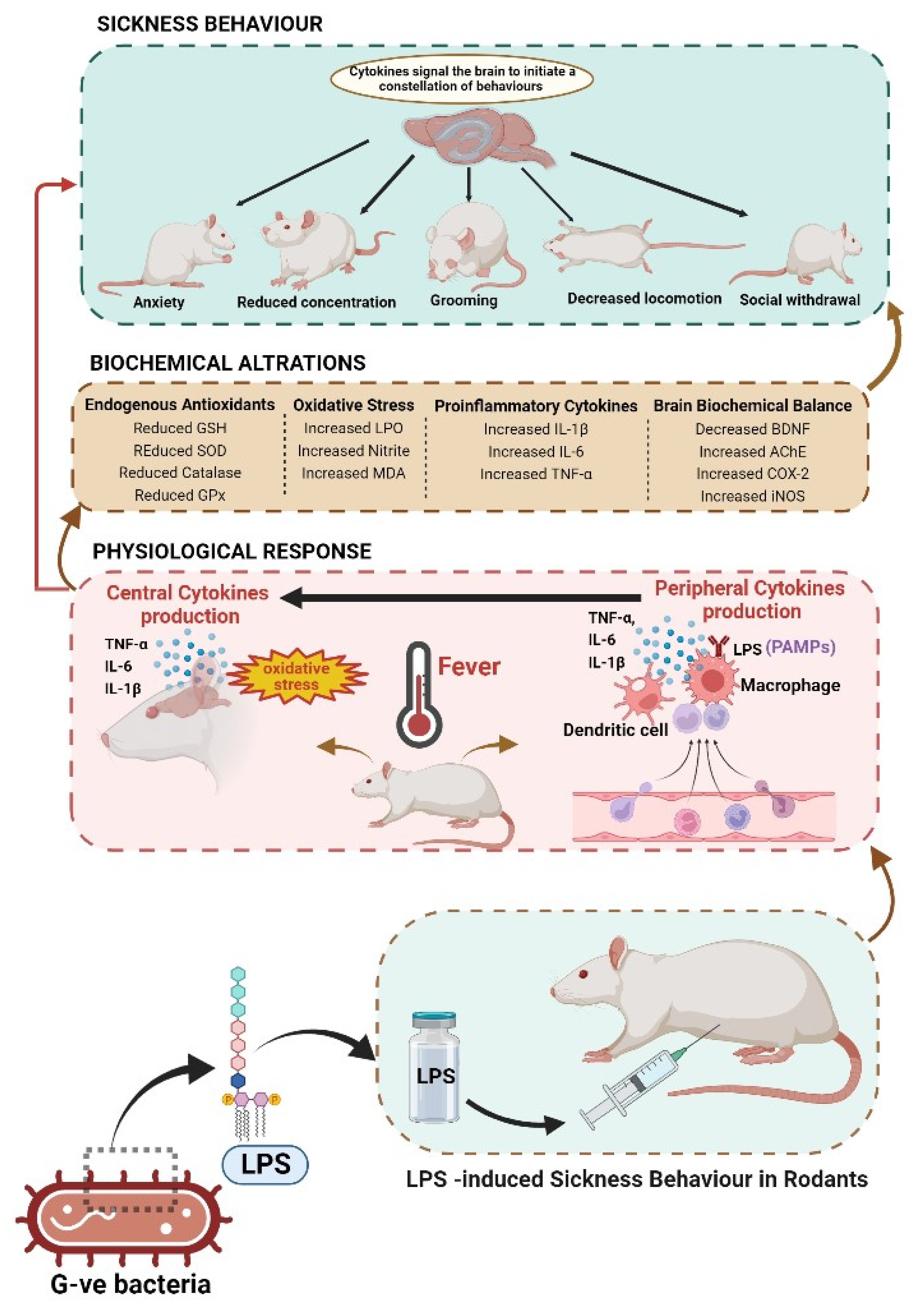 Metabolites 12 01215 g003