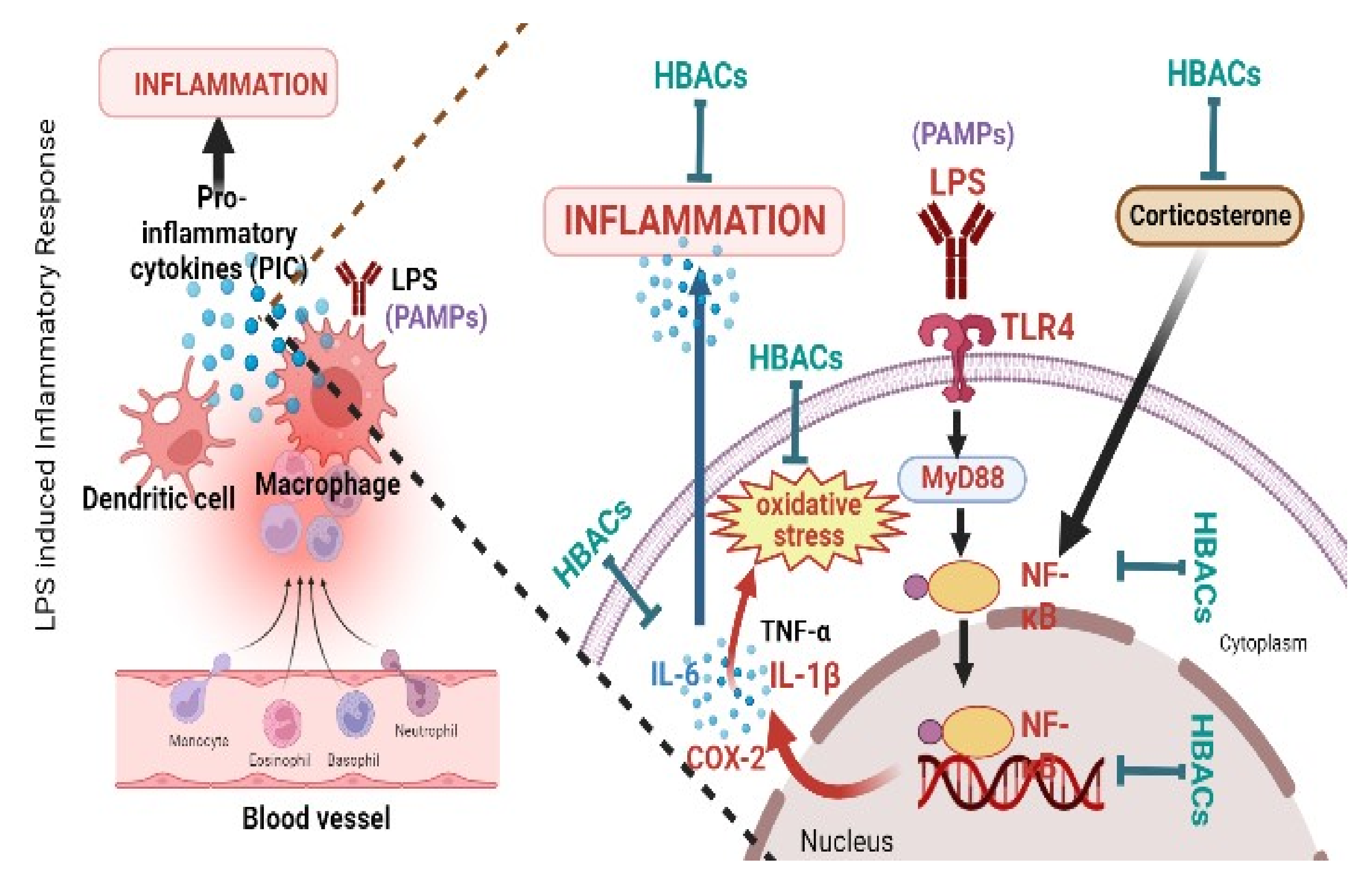 Metabolites 12 01215 g007