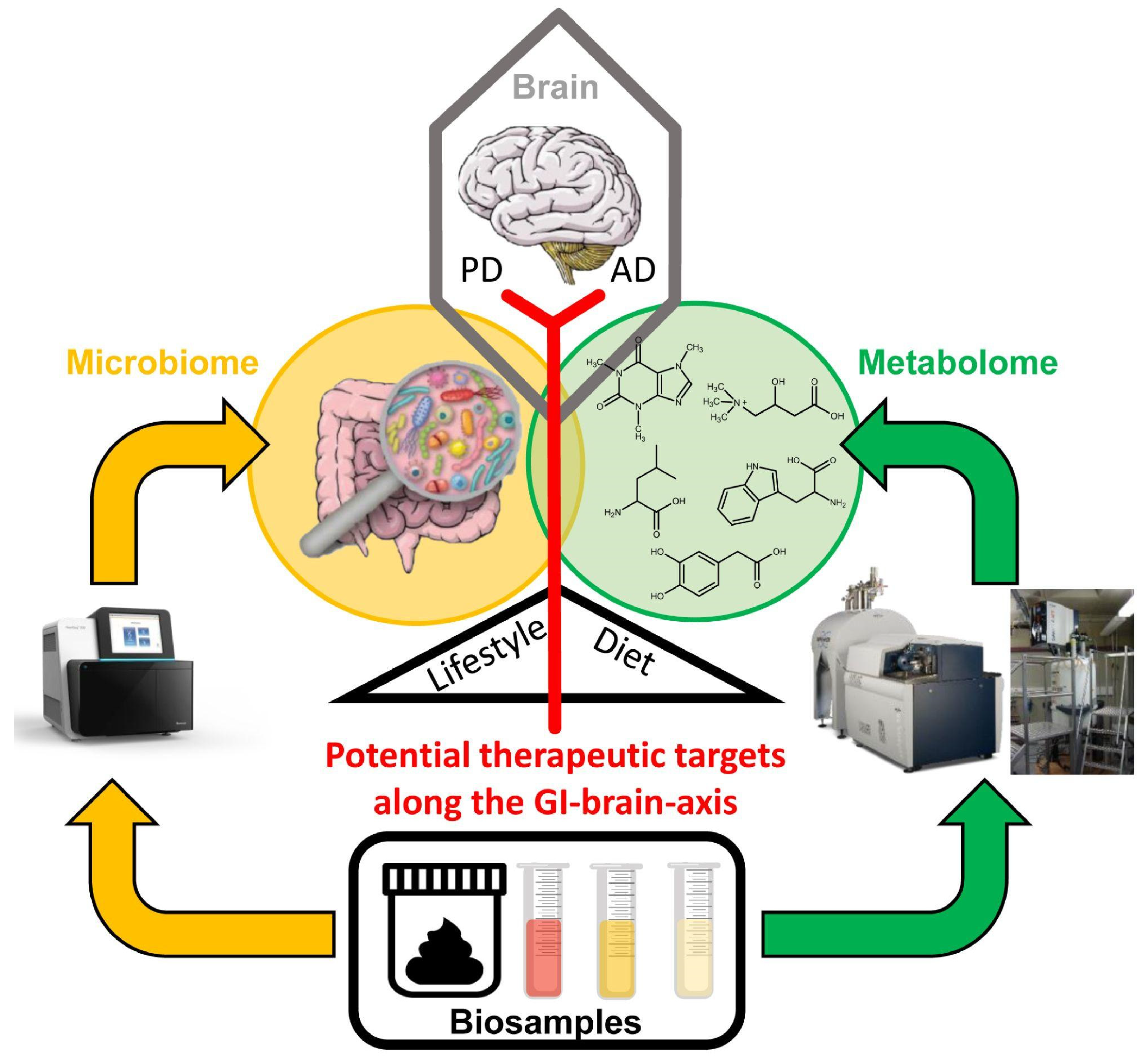 Metabolites 12 01222 g001