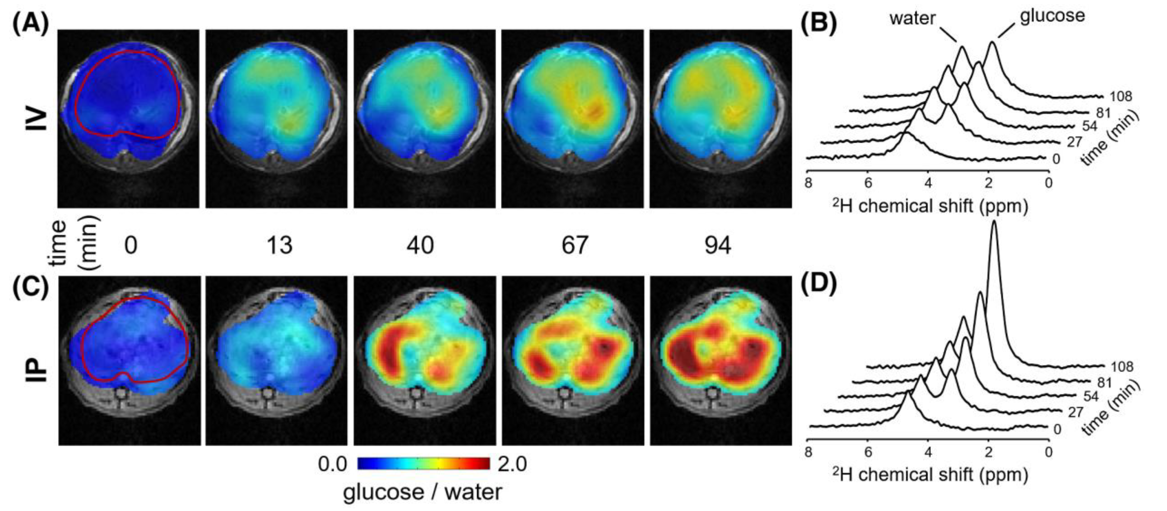 Metabolites 12 01223 g003