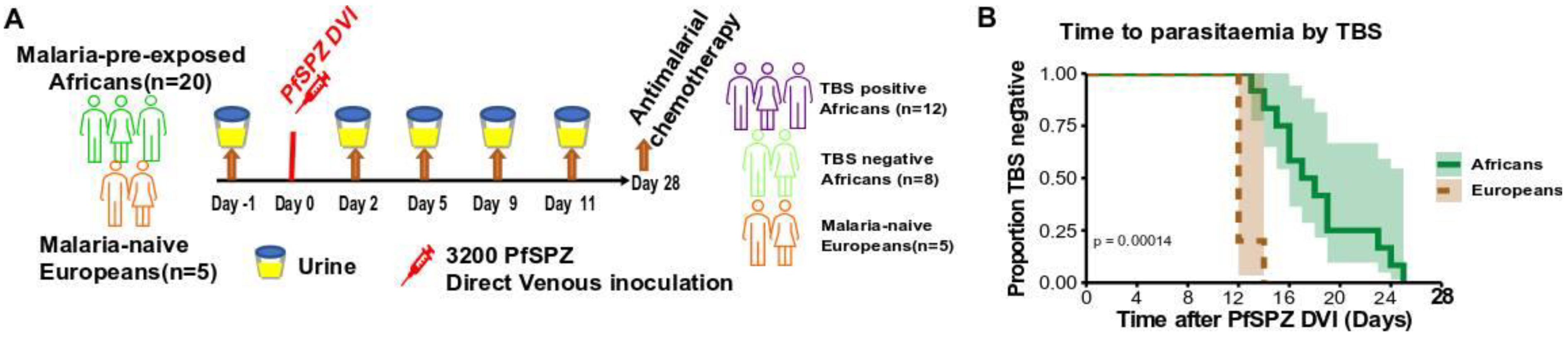 Metabolites 12 01224 g001