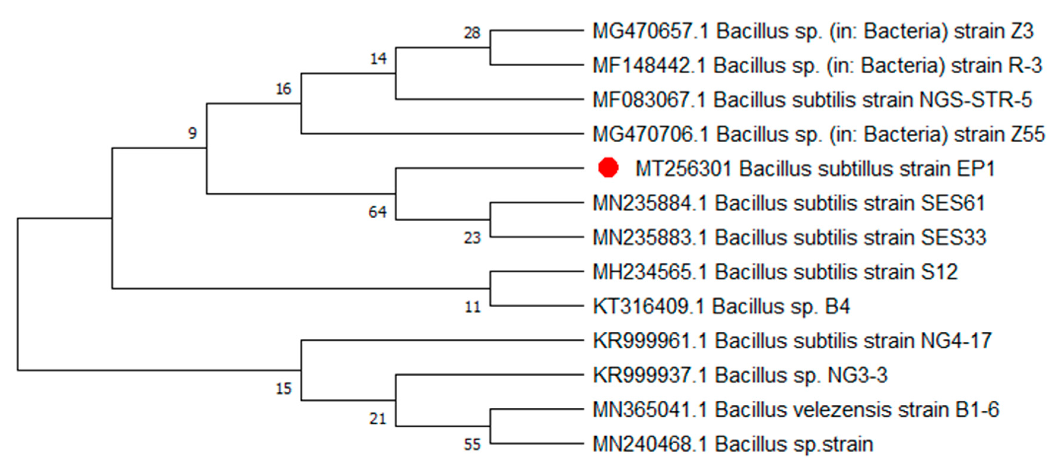 Metabolites 12 01228 g001