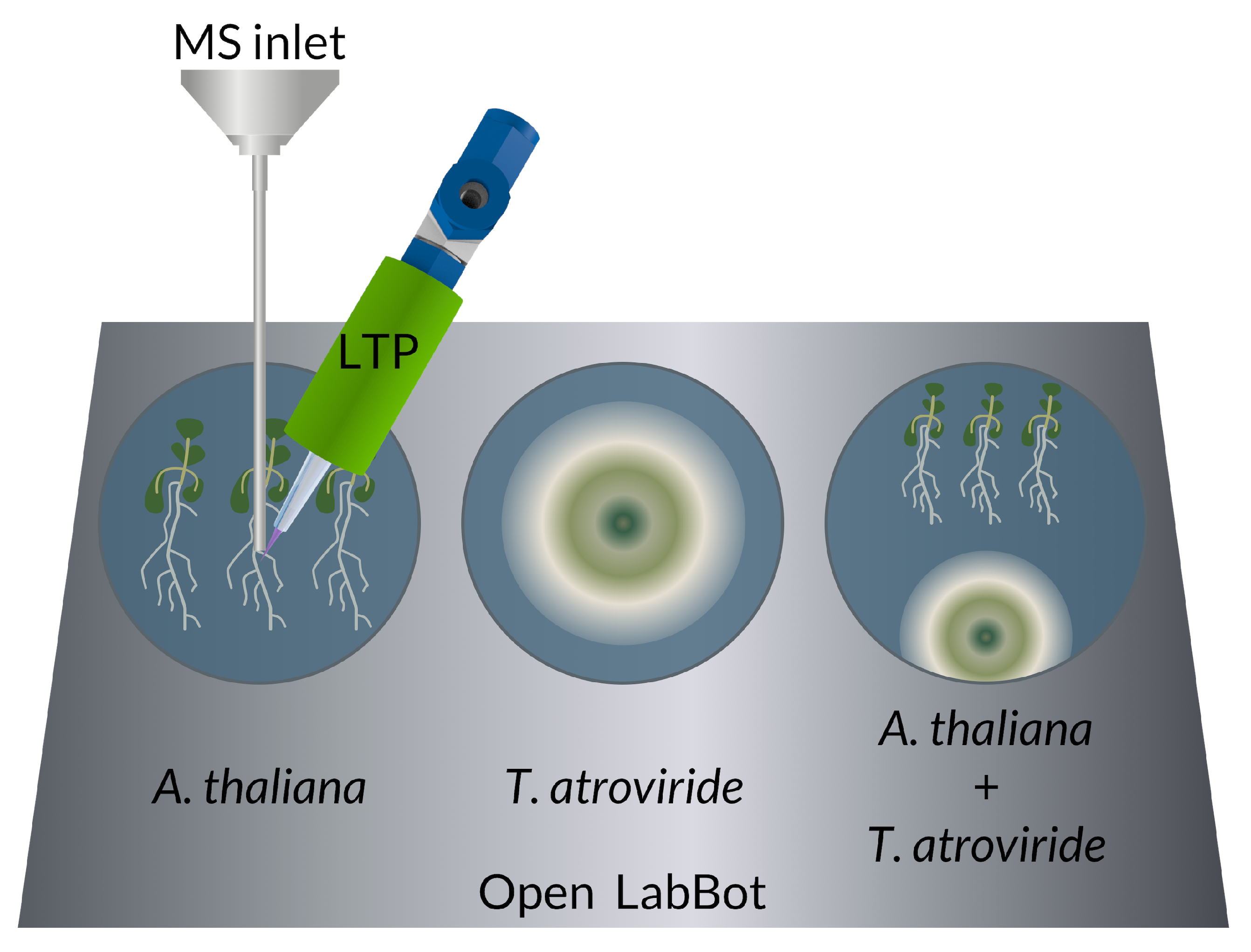 Metabolites 12 01231 g001 Metabolites 12 01231 g001