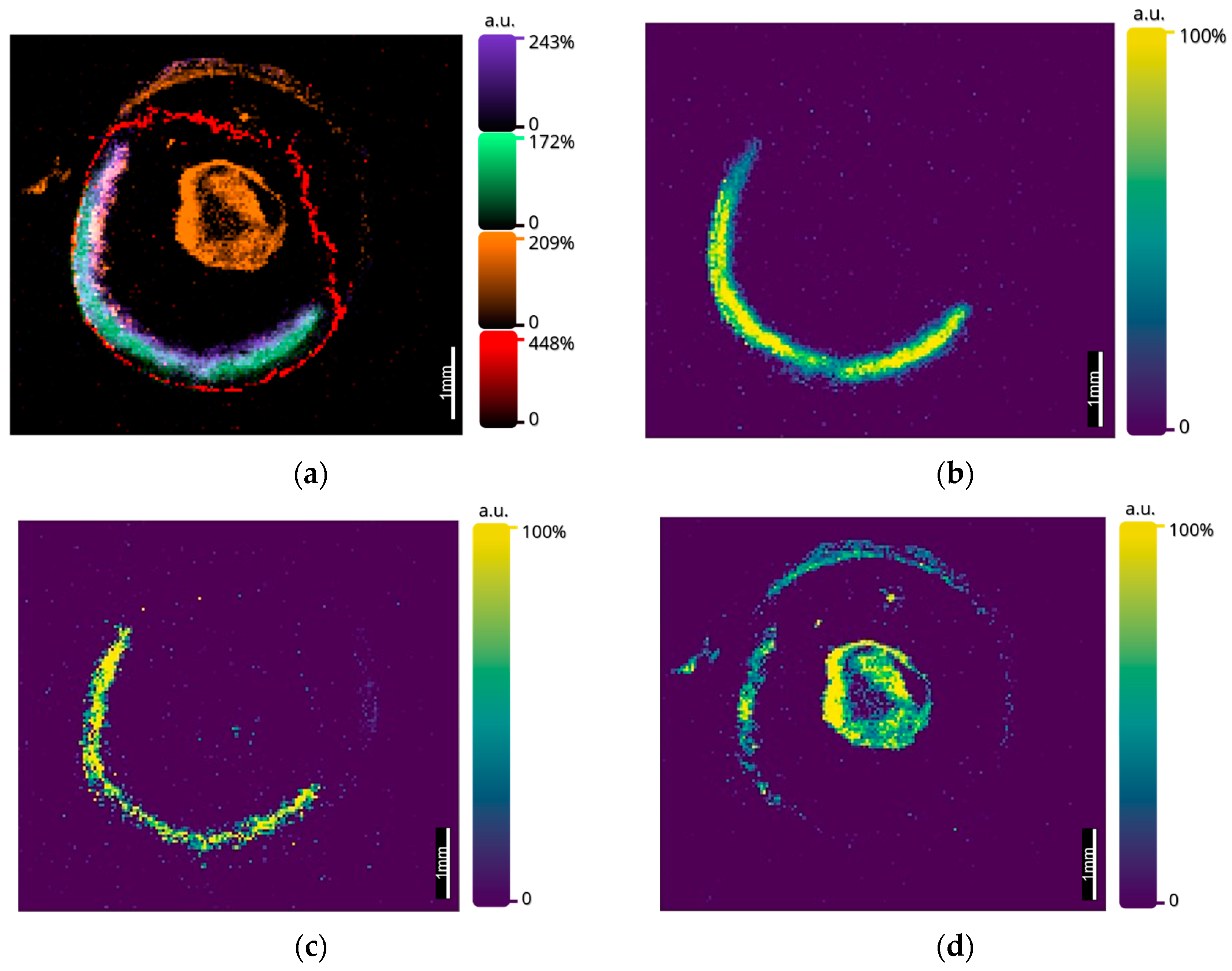 Metabolites | Free Full-Text | Multiomic Mass Spectrometry Imaging to ...
