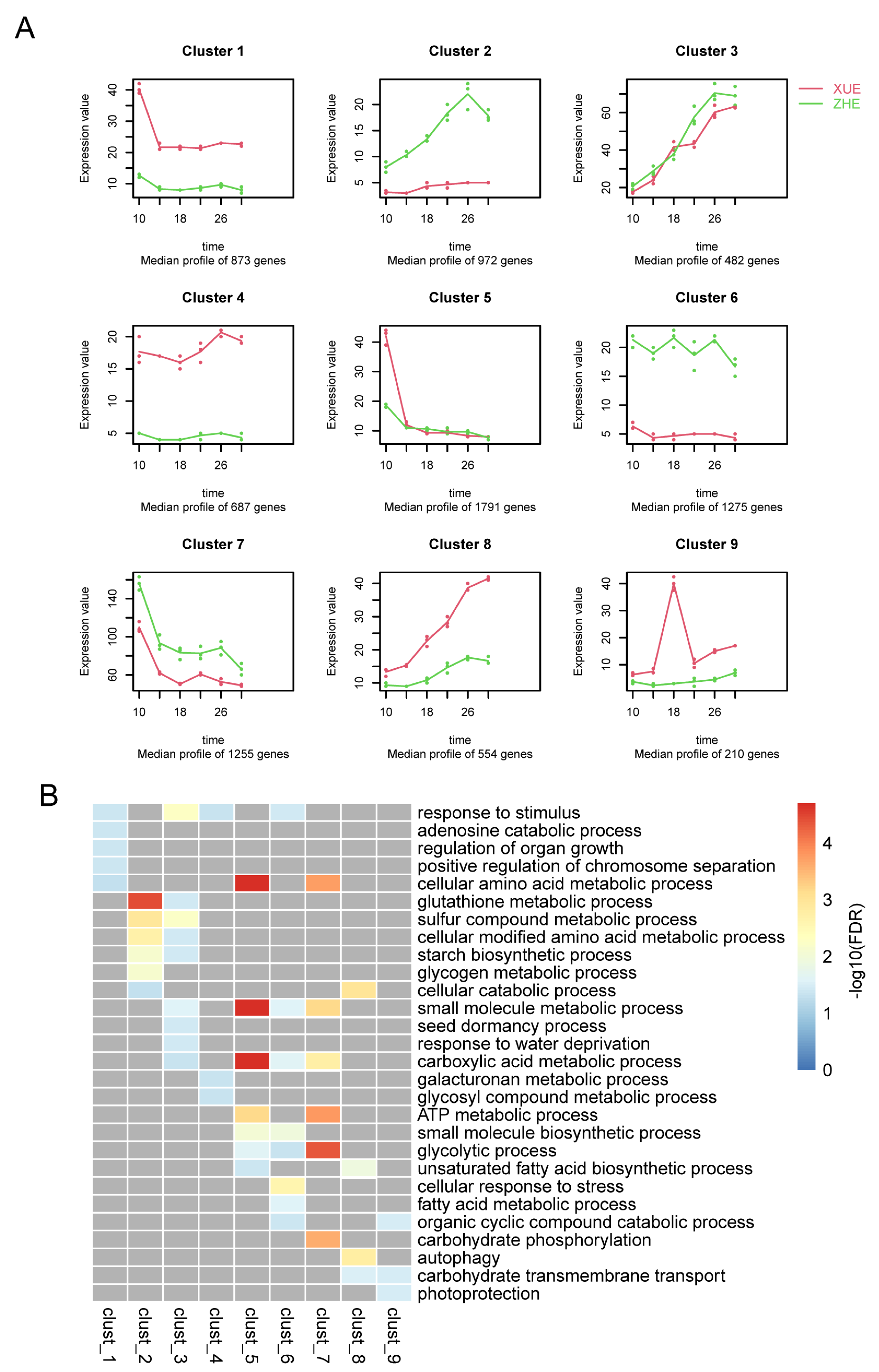 Metabolites 12 01254 g004 Metabolites 12 01254 g004