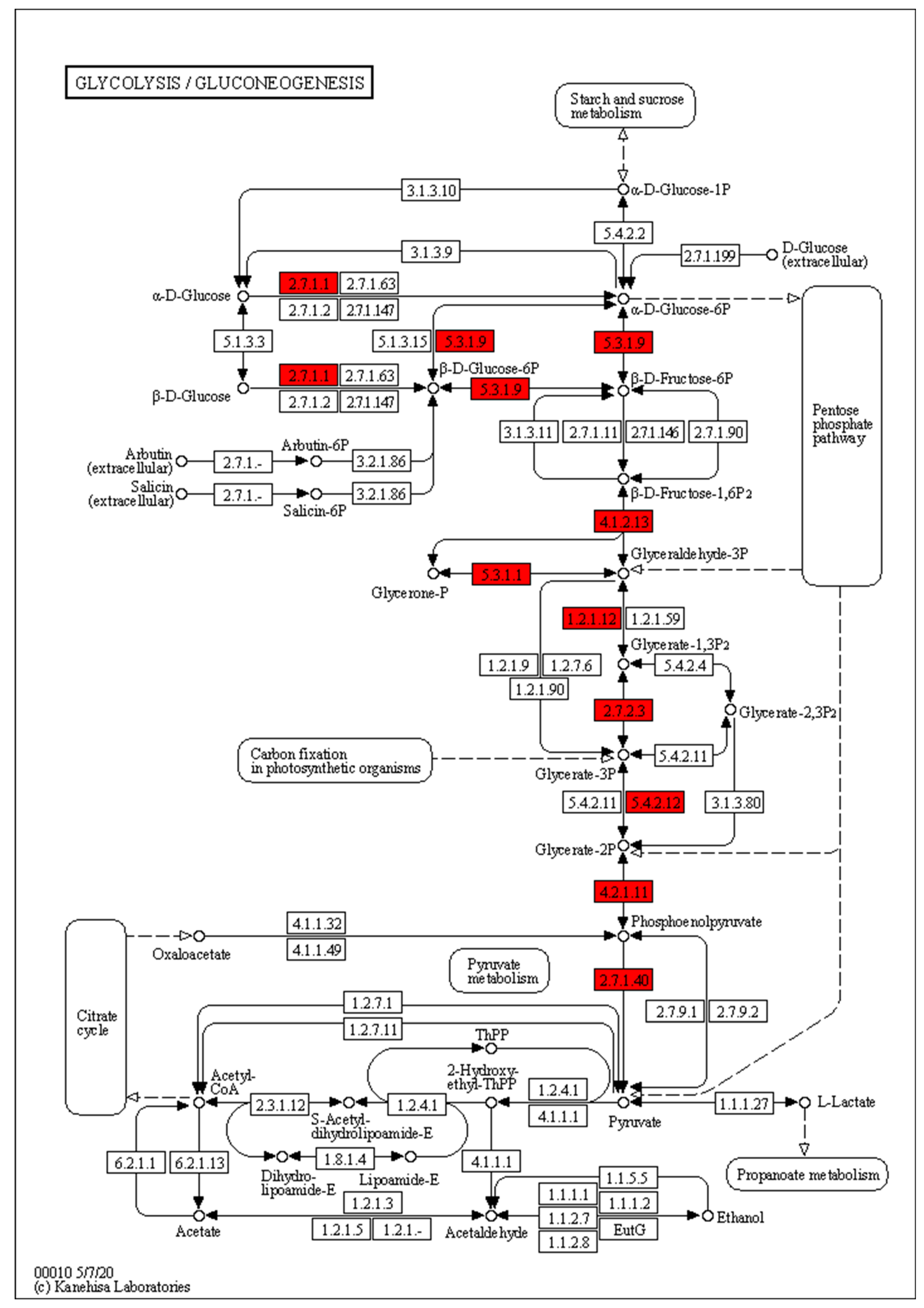 Metabolites 12 01254 g005 Metabolites 12 01254 g005