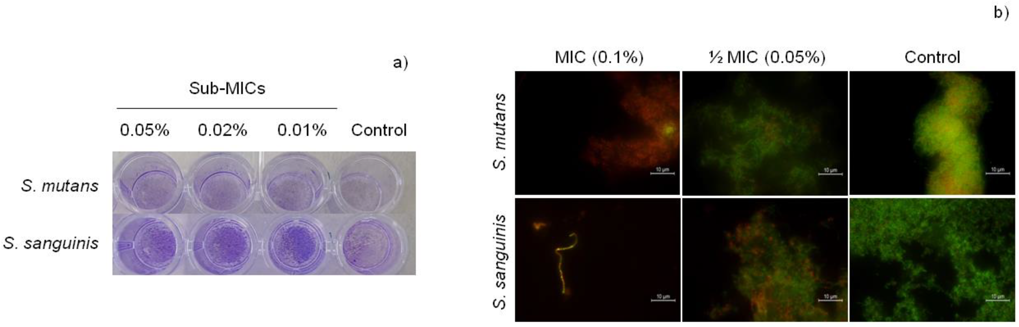 Metabolites 12 01255 g002 Metabolites 12 01255 g002