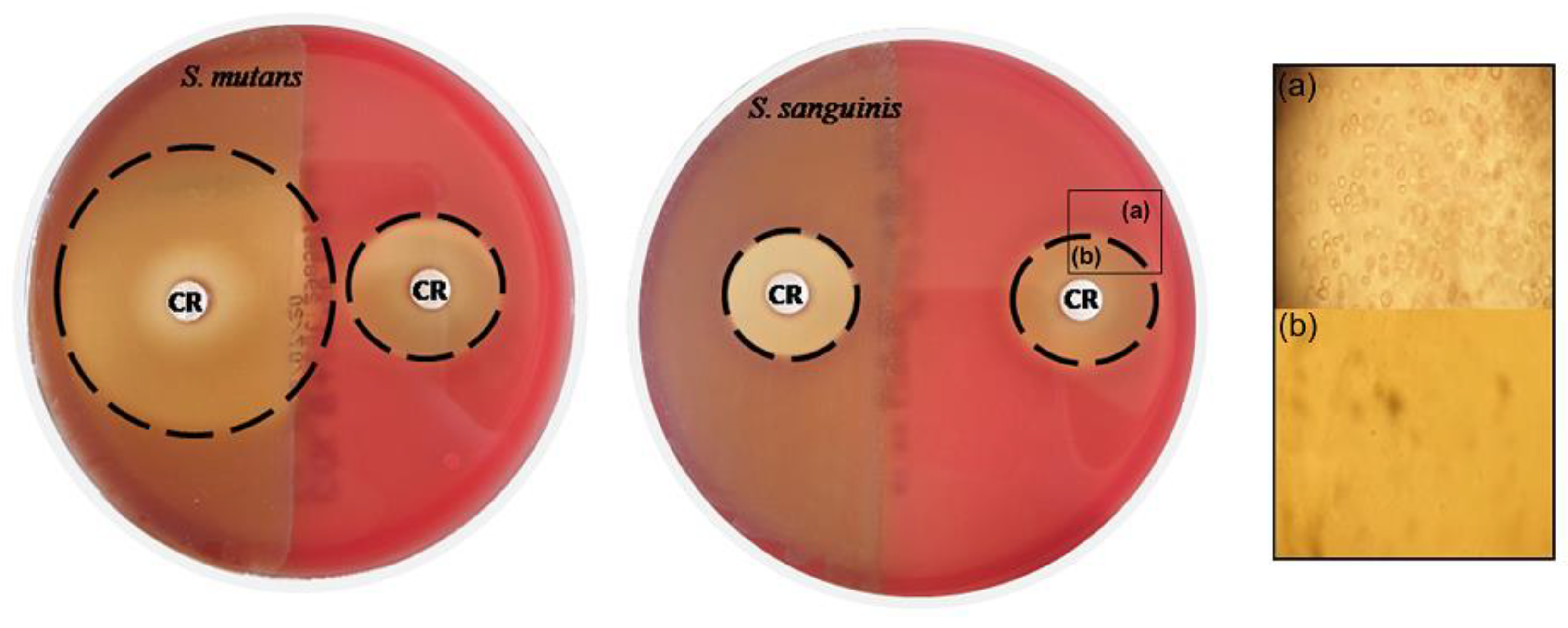 Metabolites 12 01255 g006 Metabolites 12 01255 g006