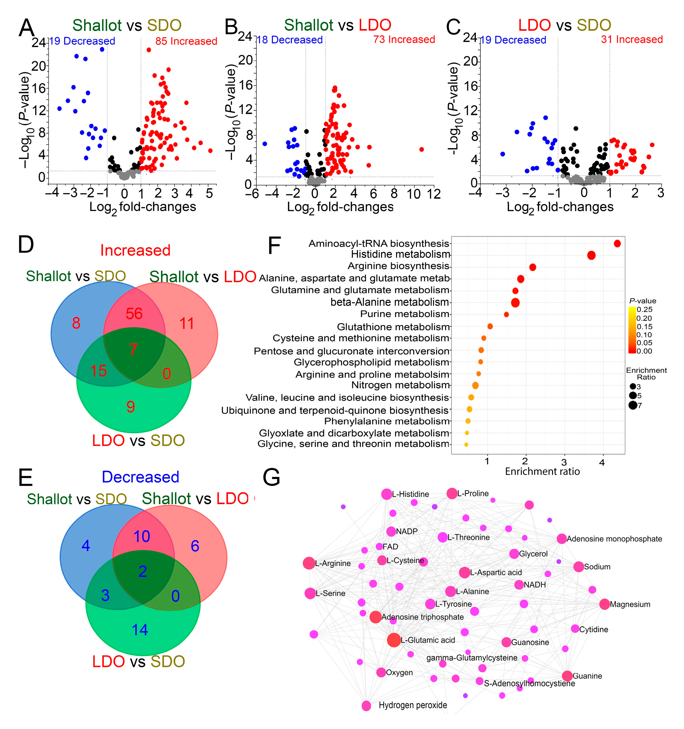 Metabolites 12 01260 g004