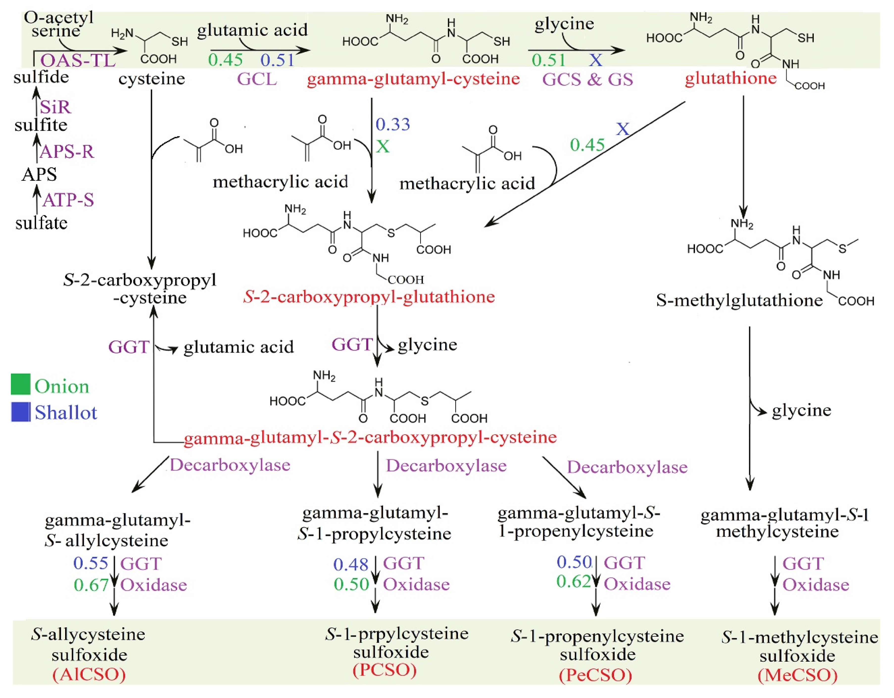 Metabolites 12 01260 g006