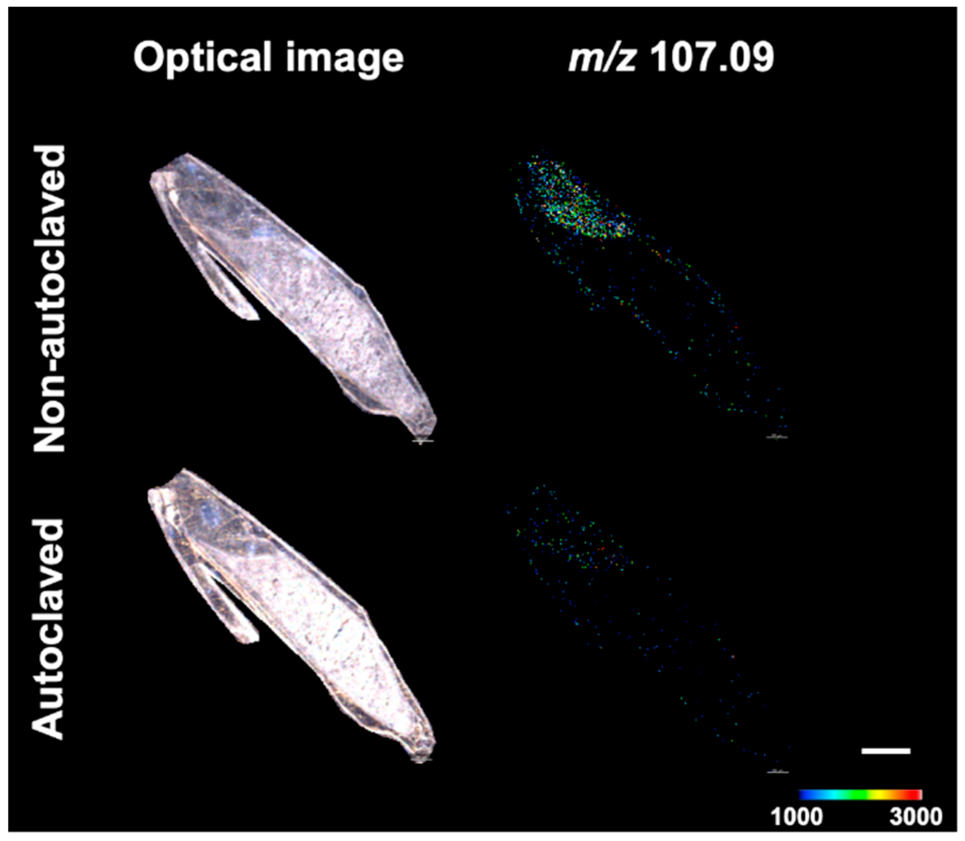 Metabolites 12 01262 g002
