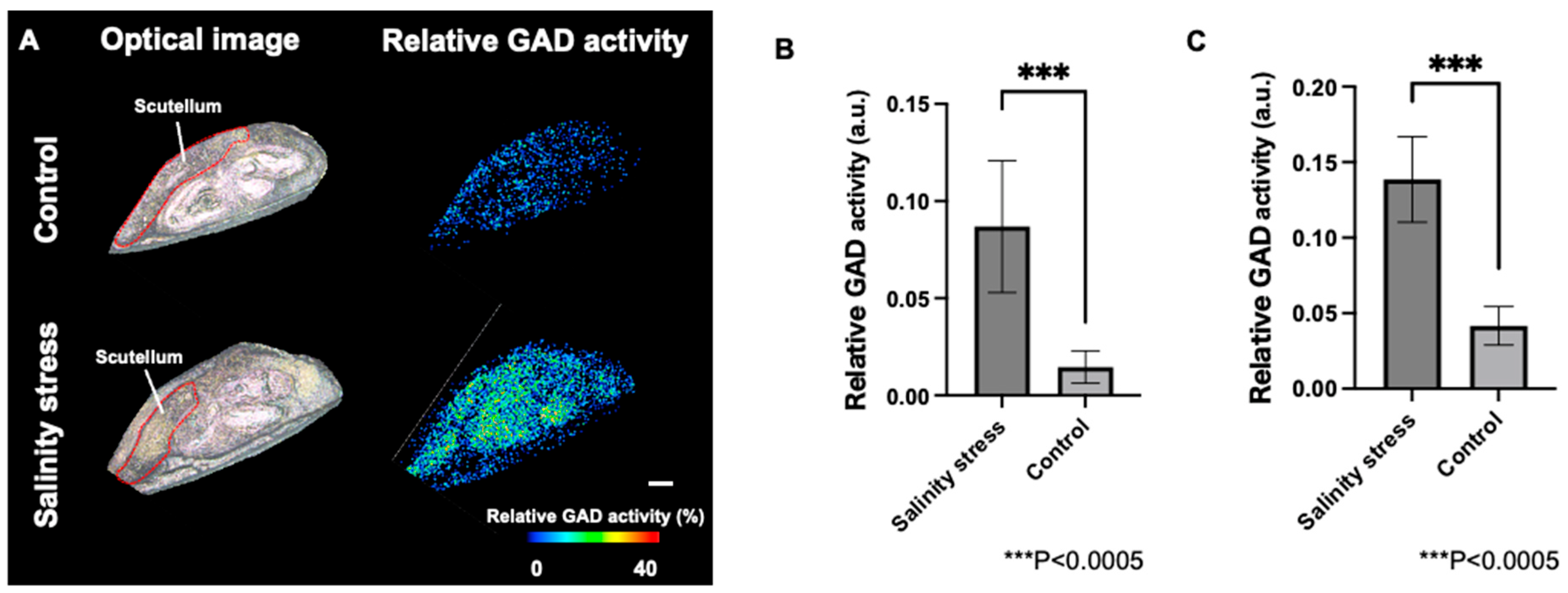 Metabolites 12 01262 g005