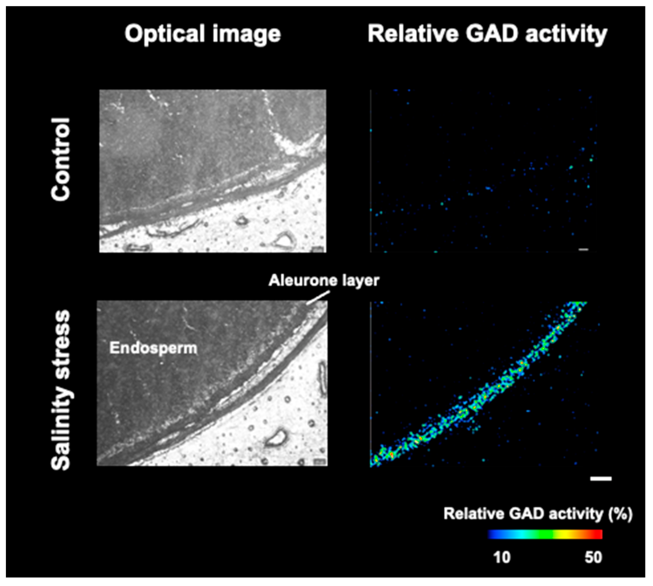 Metabolites 12 01262 g006